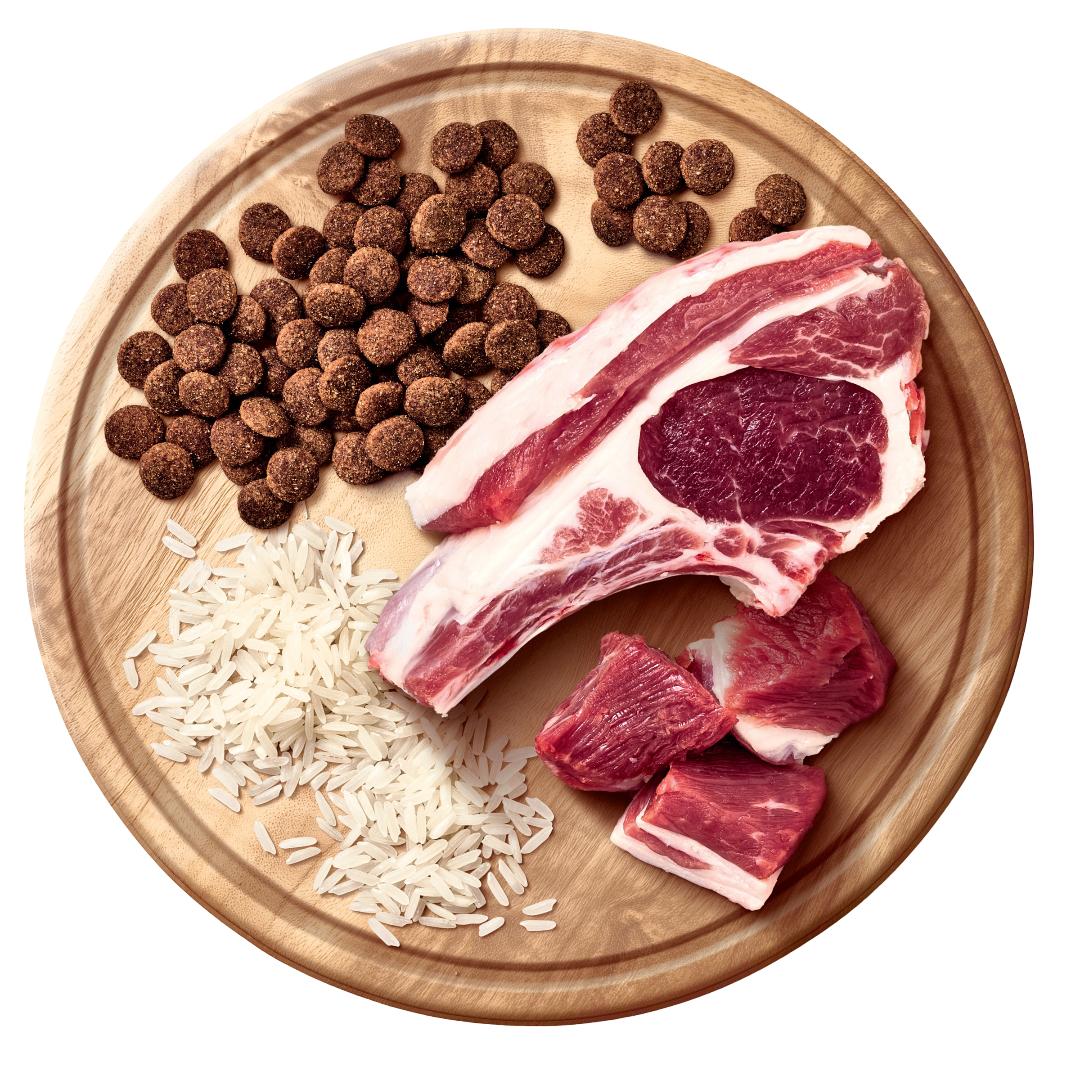 Advance All Breed Lamb and Rice Adult Dog Dry Food 20kg - Image 3