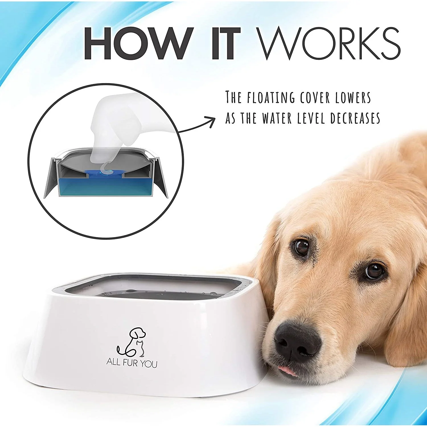 All Fur You Anti-Splash Dog Water Bowl 2L - Image 6