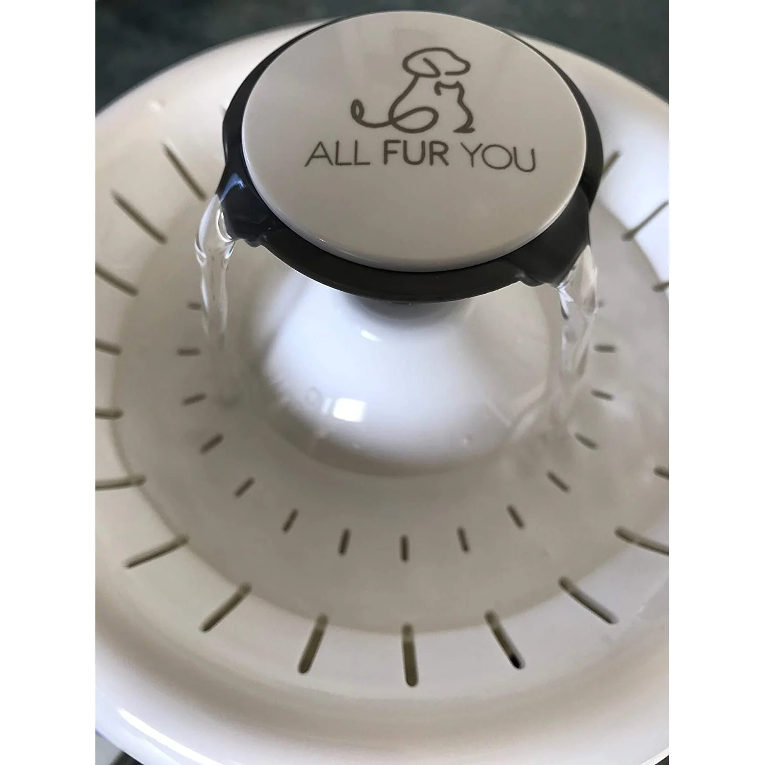 All Fur You Whisper Water Fountain - Image 3