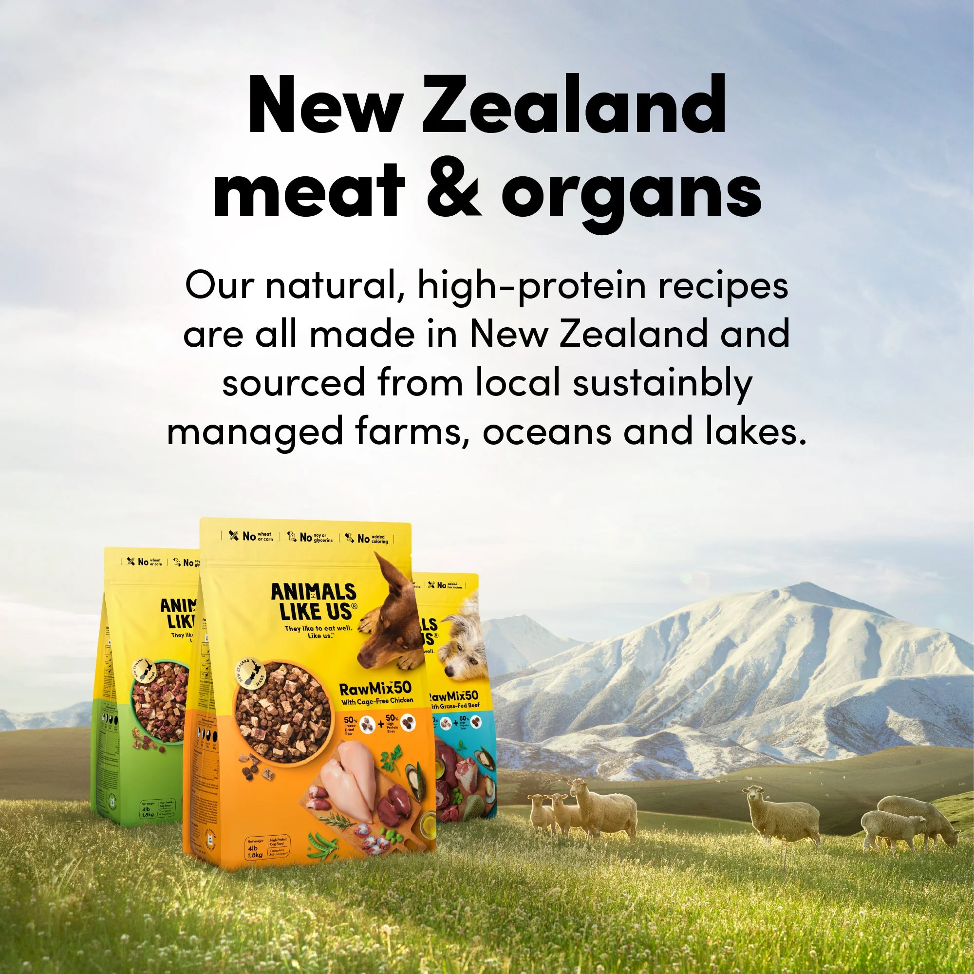 Animals Like Us RawMix50 with Grass-Fed Freeze Dried Beef and Kibble Mix Dog Food 340g - Image 11