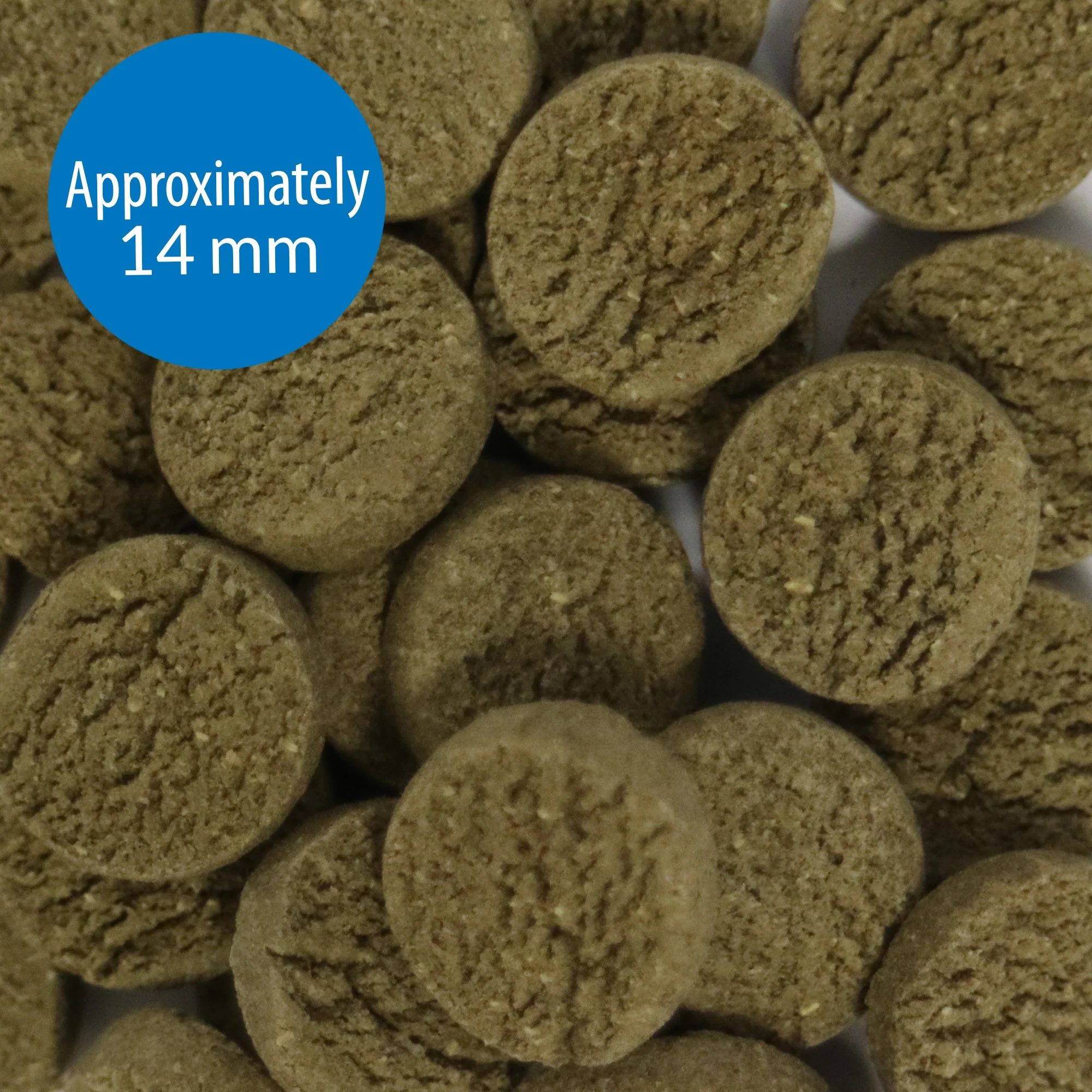 API Algae Wafers 181g - Image 2