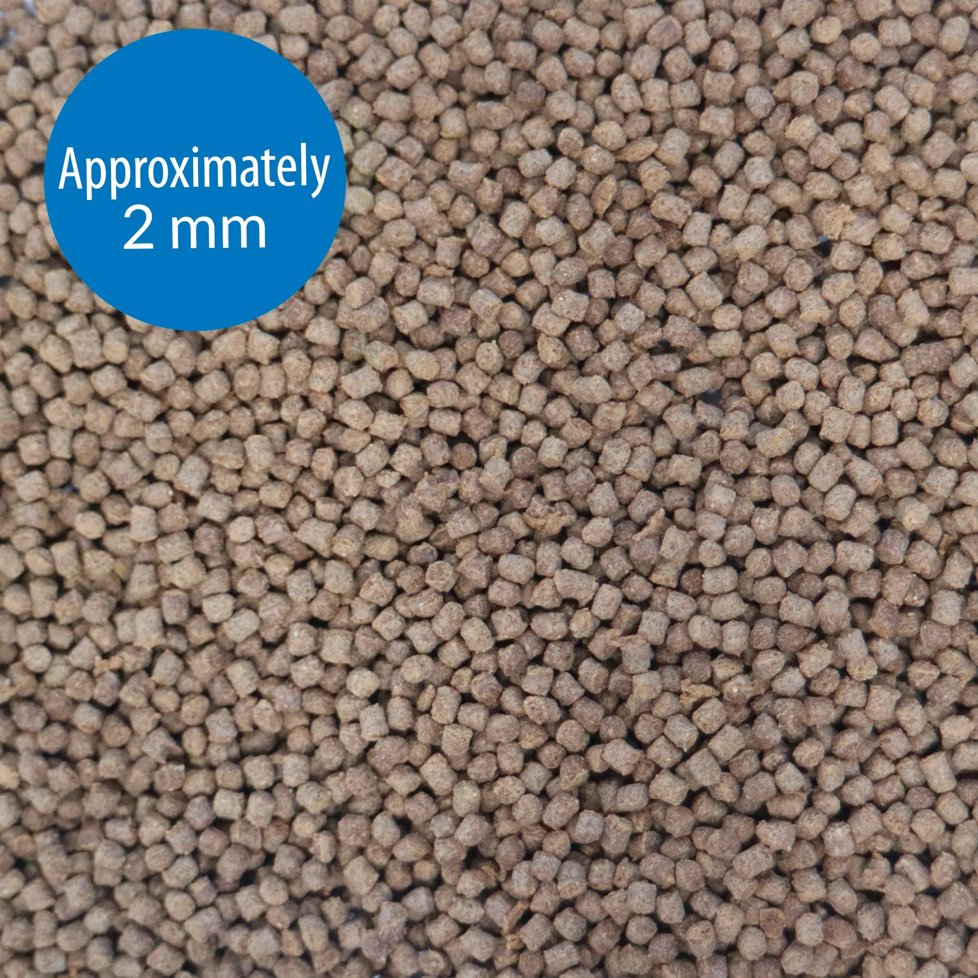 API Betta Pellets 22g - Image 2