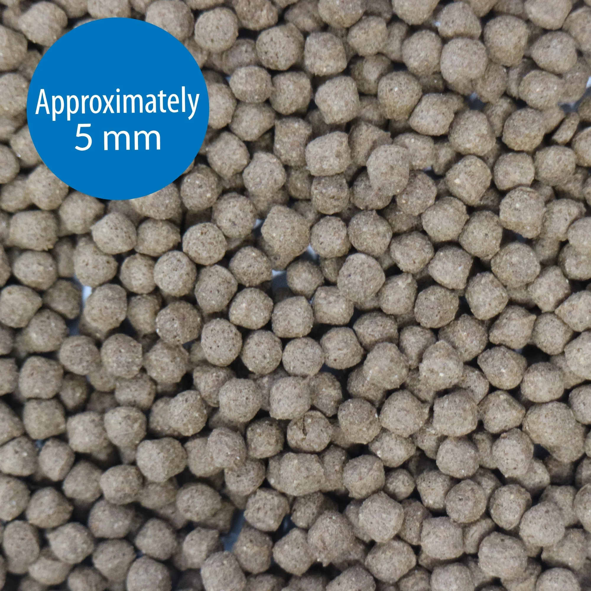 API Cichlid Pellets Large 200g - Image 2