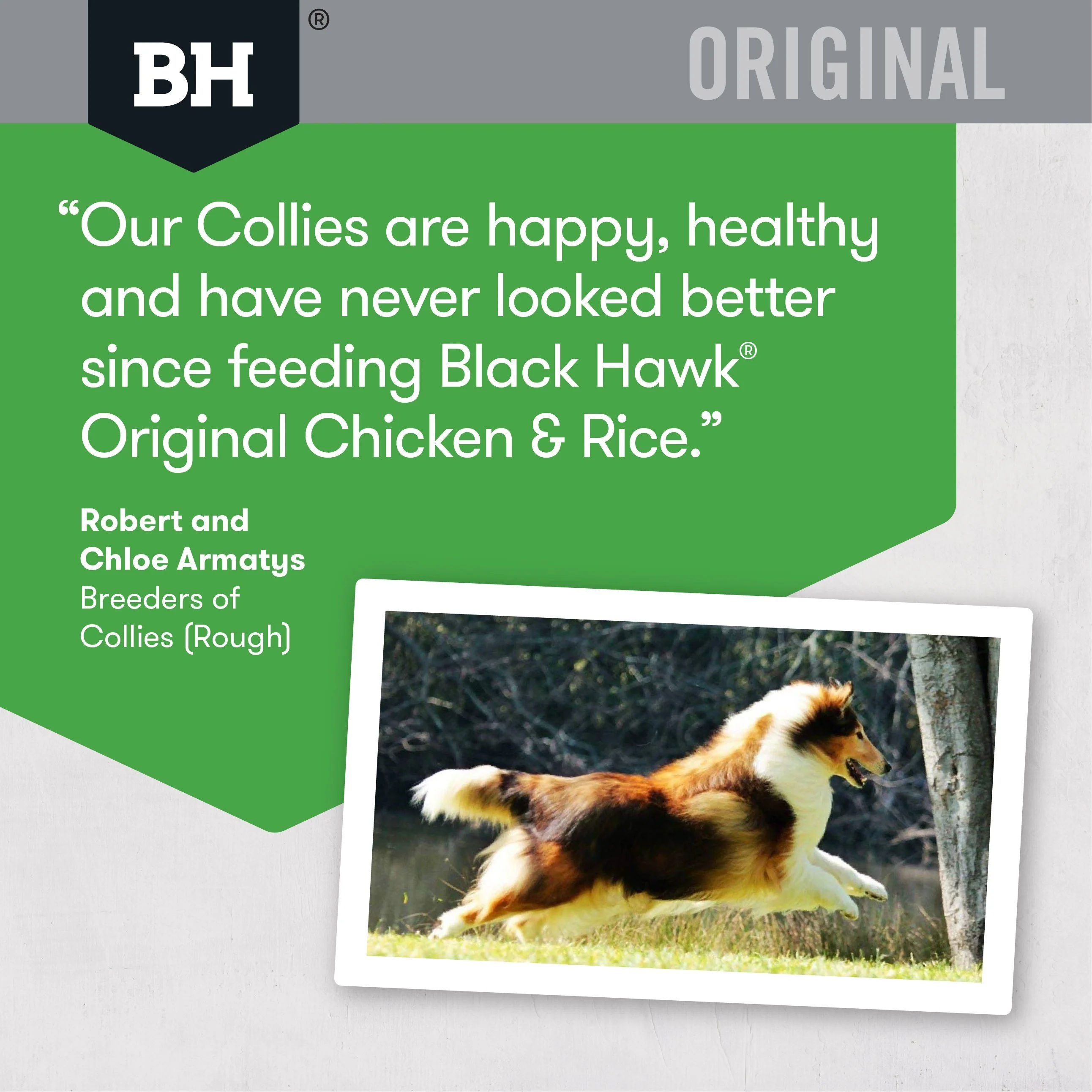 Black Hawk Original Chicken and Rice Dry Dog Food 10kg - Image 5