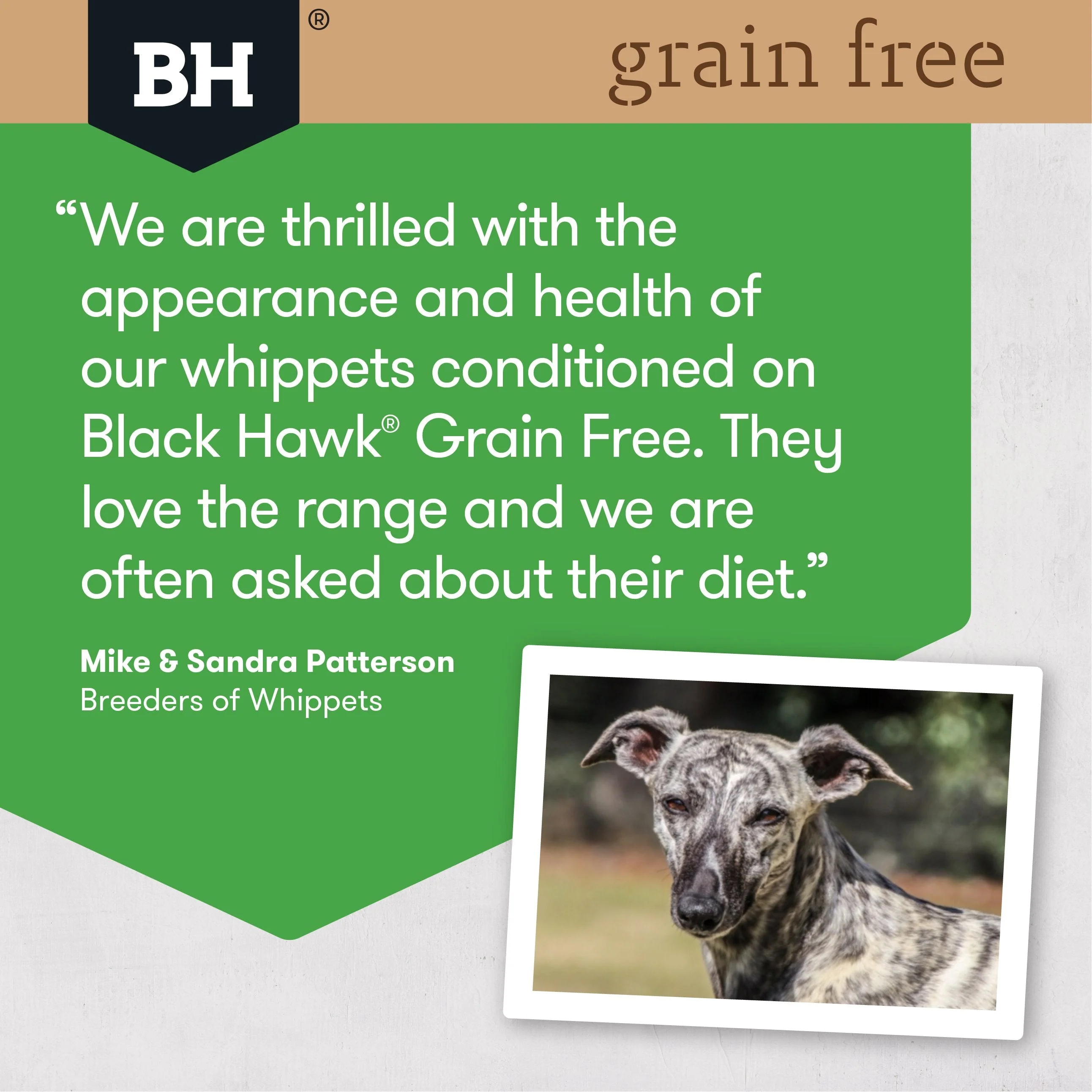 Black Hawk Grain Free Chicken Dry Dog Food 2.5kg - Image 5