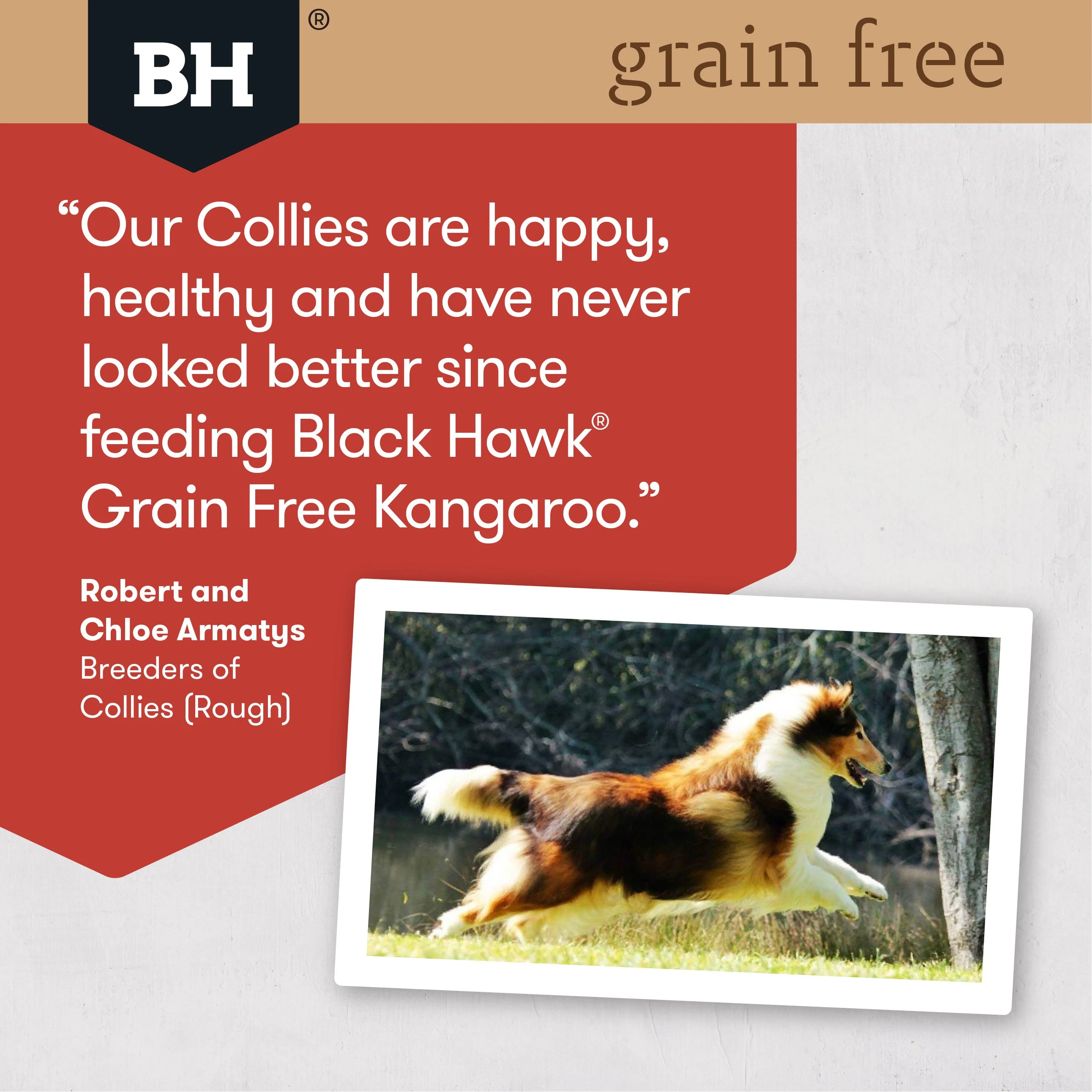 Black Hawk Grain Free Wild Kangaroo Dry Dog Food 7kg - Image 5