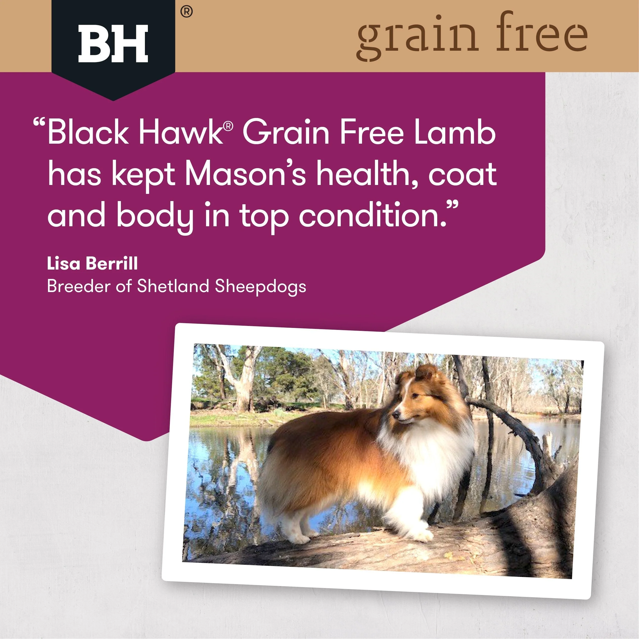 Black Hawk Grain Free Lamb Dry Dog Food 15kg - Image 5