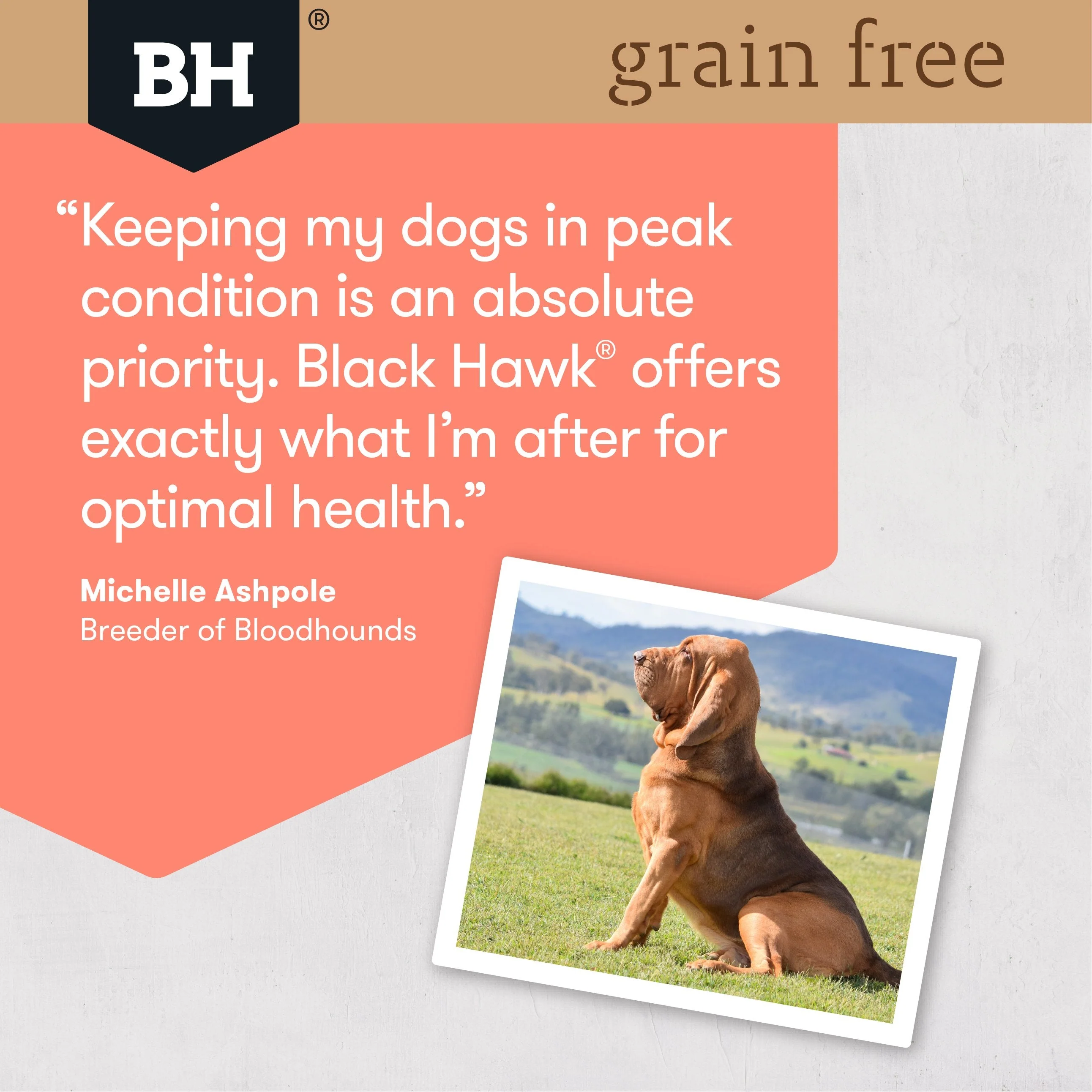Black Hawk Grain Free Salmon Dry Dog Food 2.5kg - Image 5
