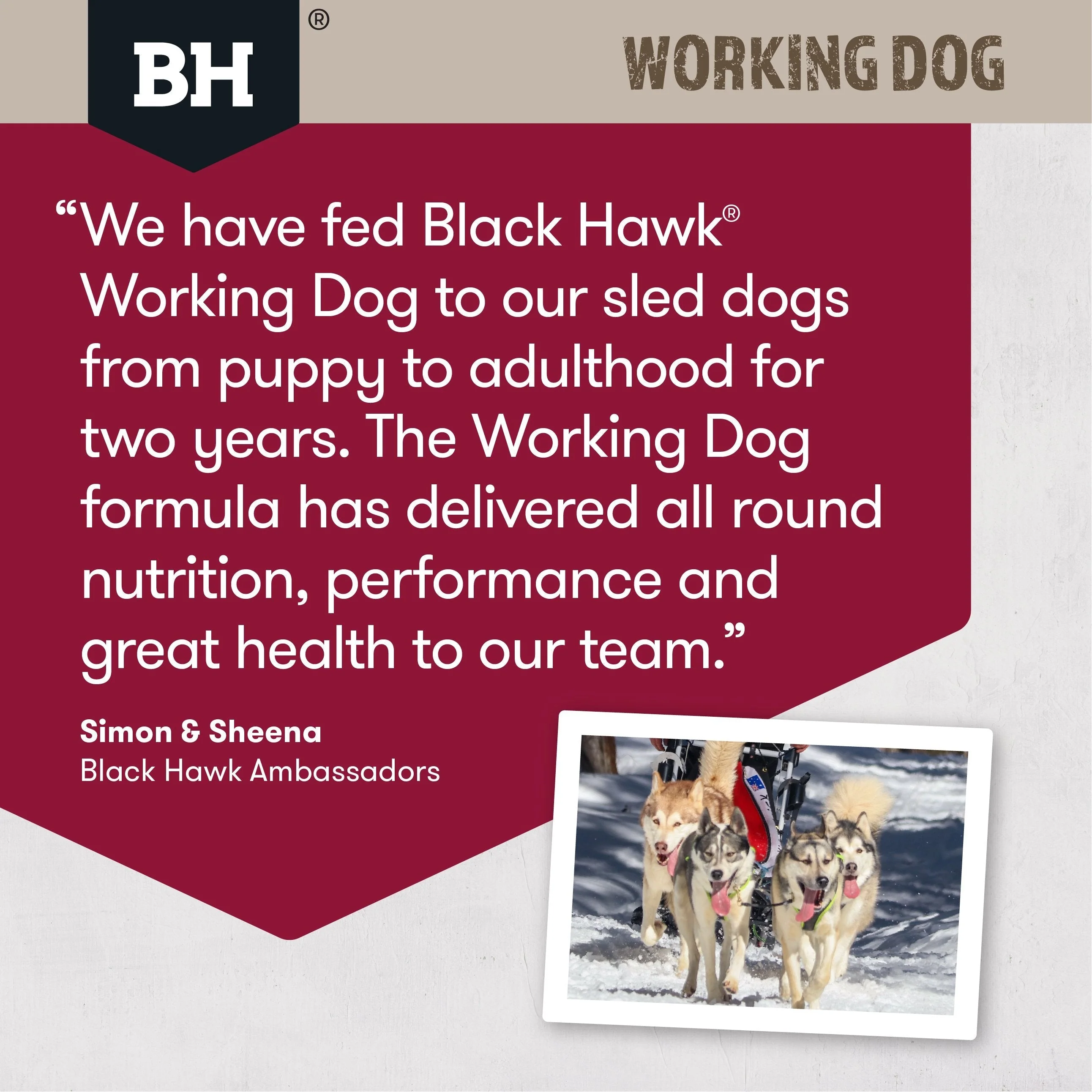 Black Hawk Original Lamb and Beef Working Dog Dry Dog Food 20kg - Image 5