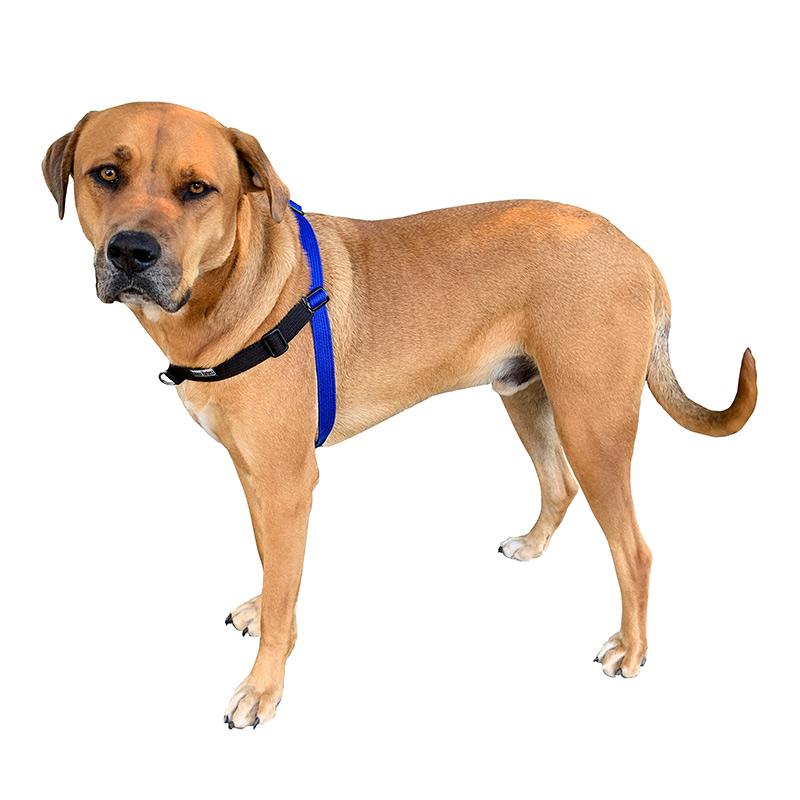 Black Dog Wear Balance Harness Red Large - Image 2