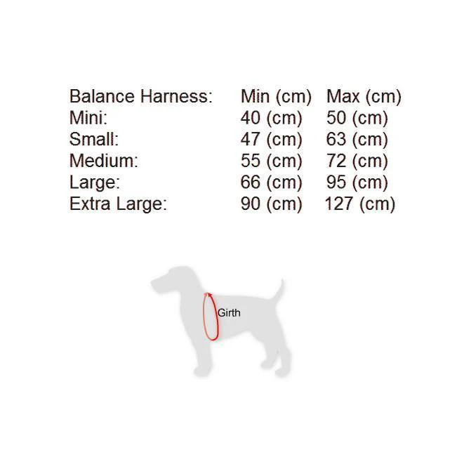 Black Dog Wear Balance Harness Red Medium - Image 5
