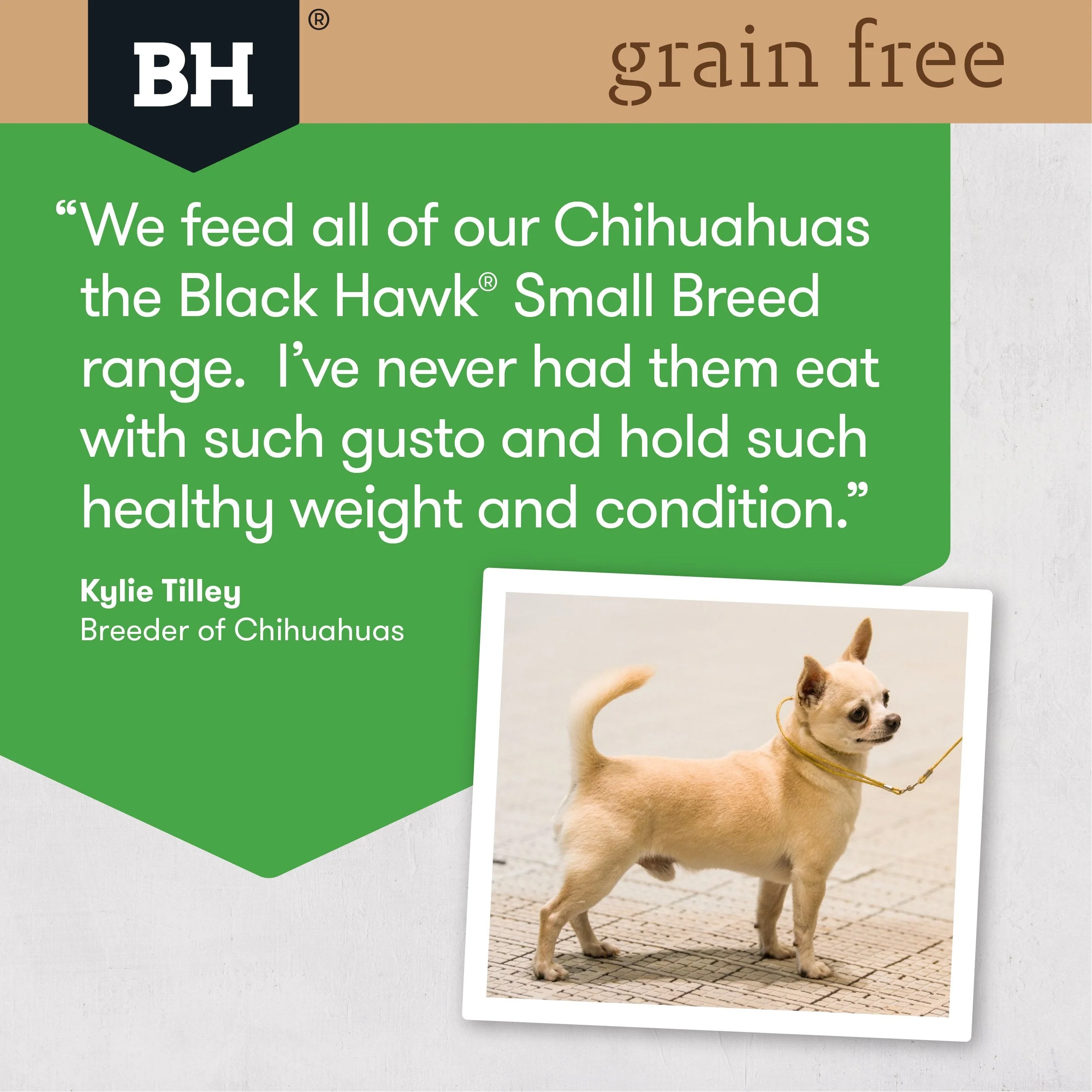 Black Hawk Grain Free Chicken Small Breed Dry Dog Food 2.5kg - Image 5