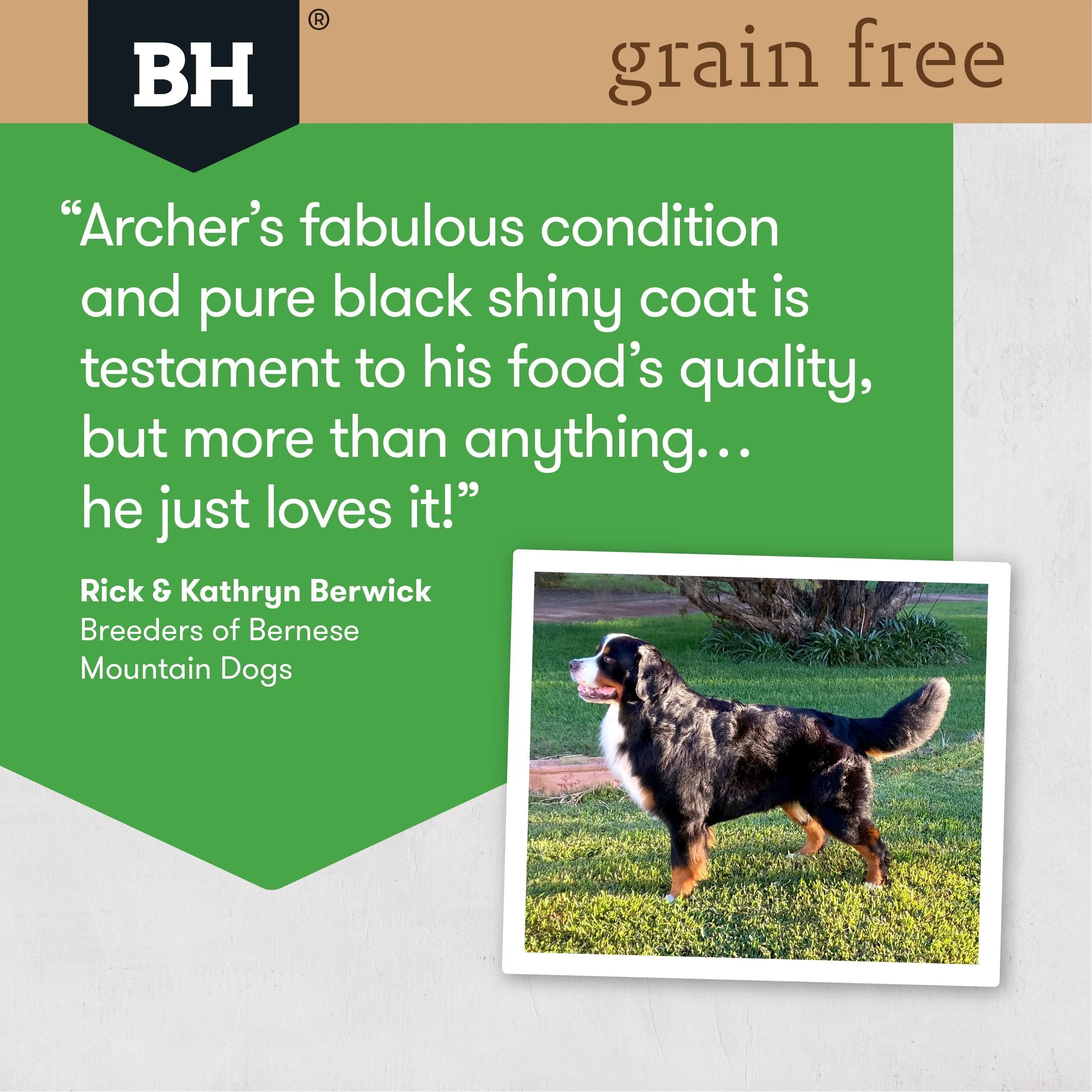 Black Hawk Grain Free Chicken Large Breed Dry Dog Food 15kg - Image 6