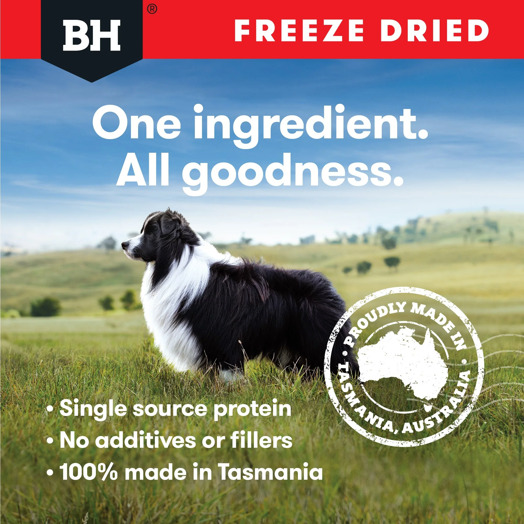 Black Hawk Freeze Dried Beef Liver Dog Treats 50g - Image 13
