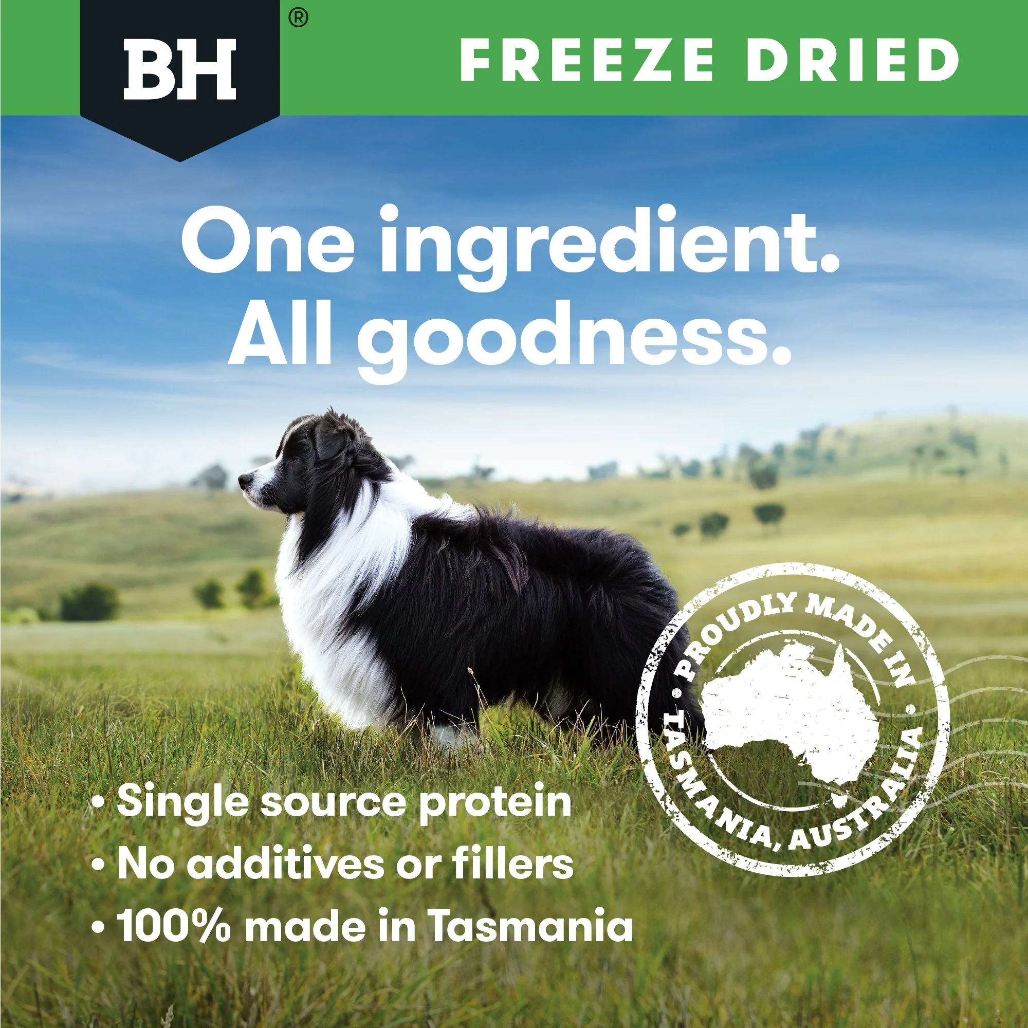 Black Hawk Freeze Dried Chicken Dog Treats 40g - Image 13