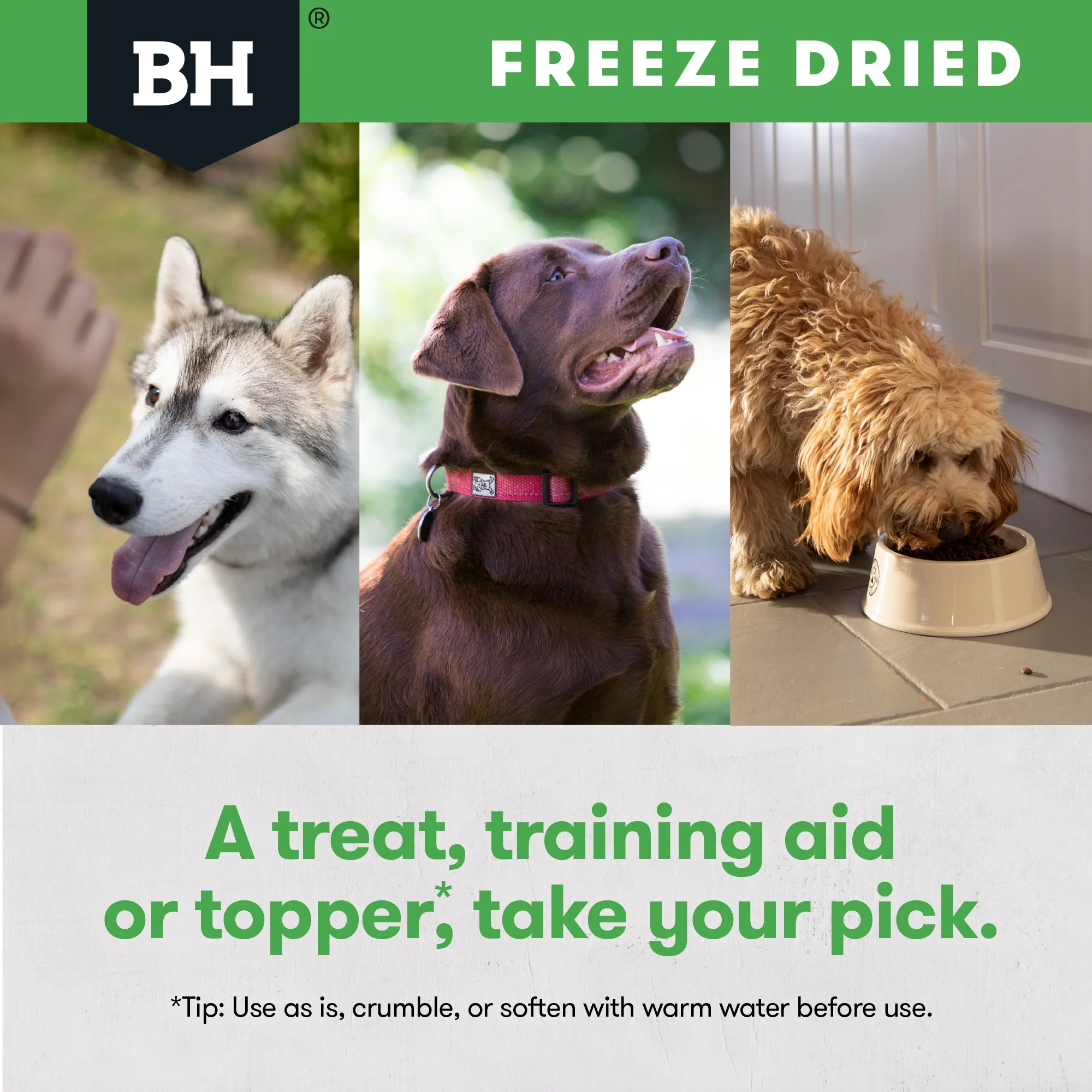 Black Hawk Freeze Dried Chicken Dog Treats 40g - Image 7