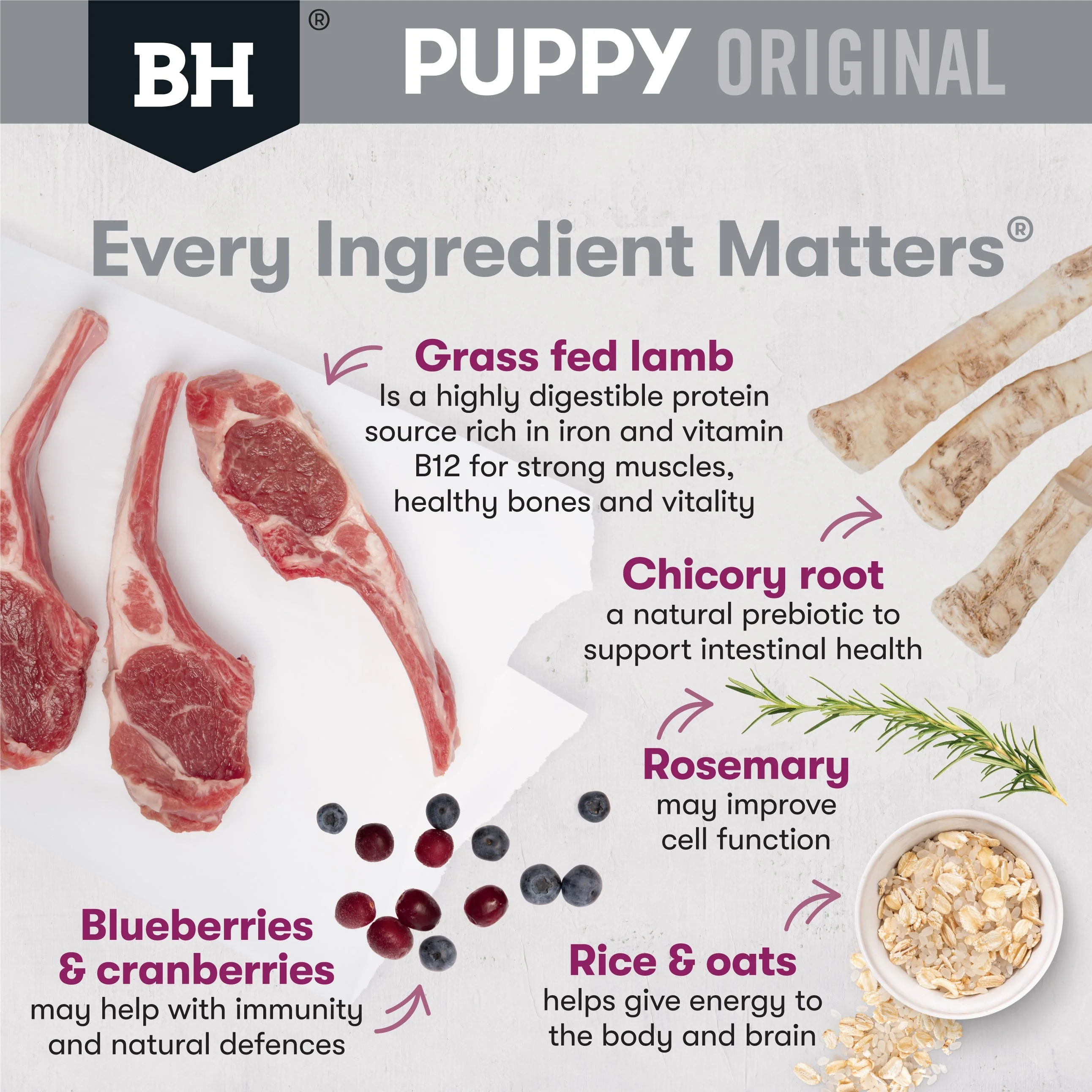 Black Hawk Lamb and Rice Medium Breed Puppy Dry Dog Food 3kg - Image 4
