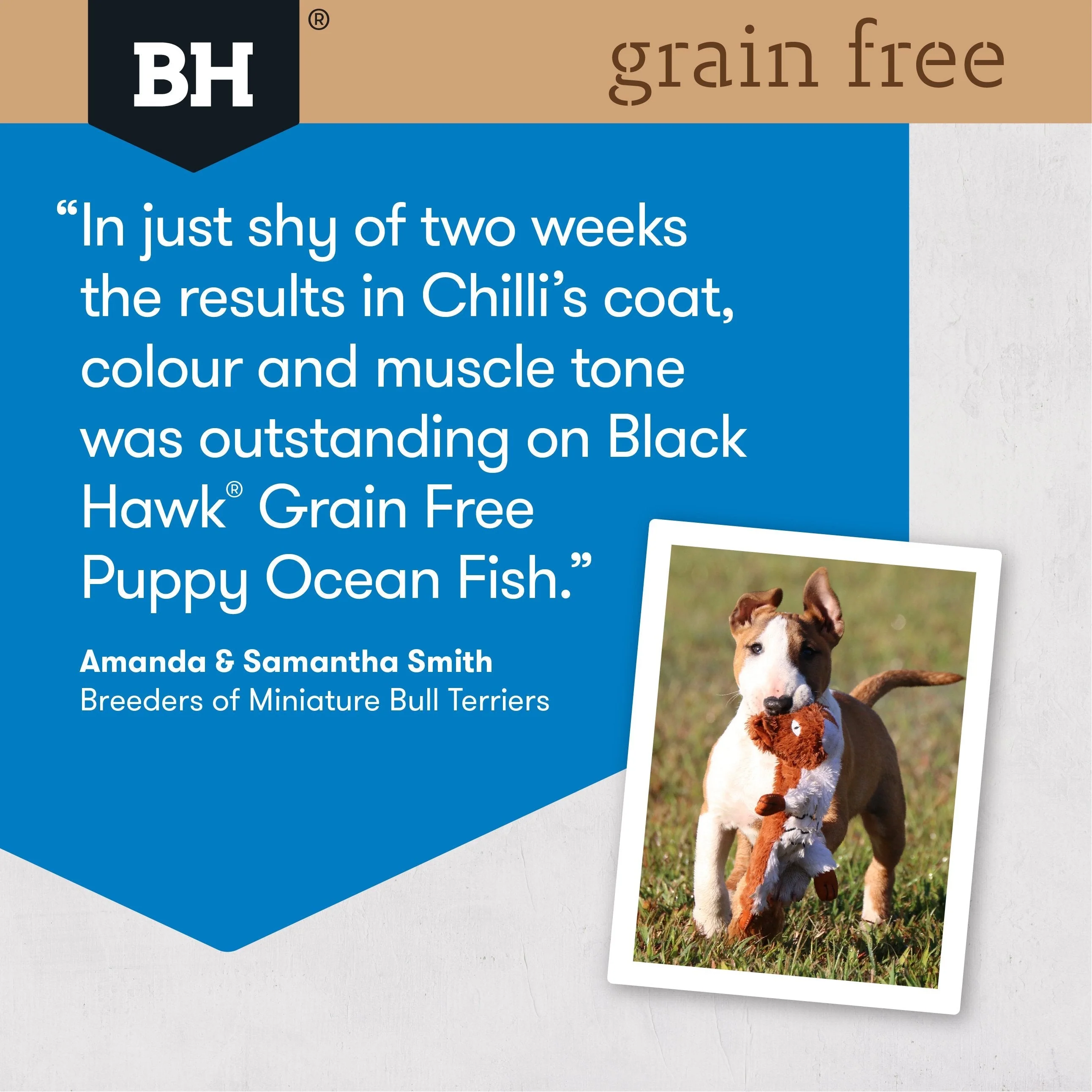 Black Hawk Grain Free Ocean Fish Puppy Dry Dog Food 15kg - Image 5