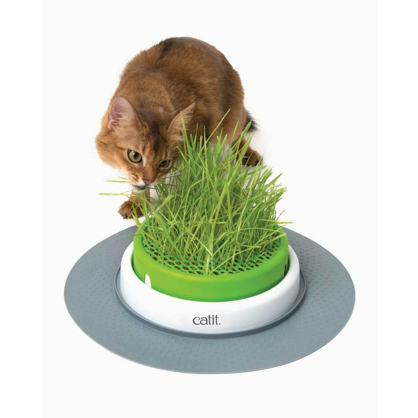 Catit Senses 2.0 Grass Planter - Image 2