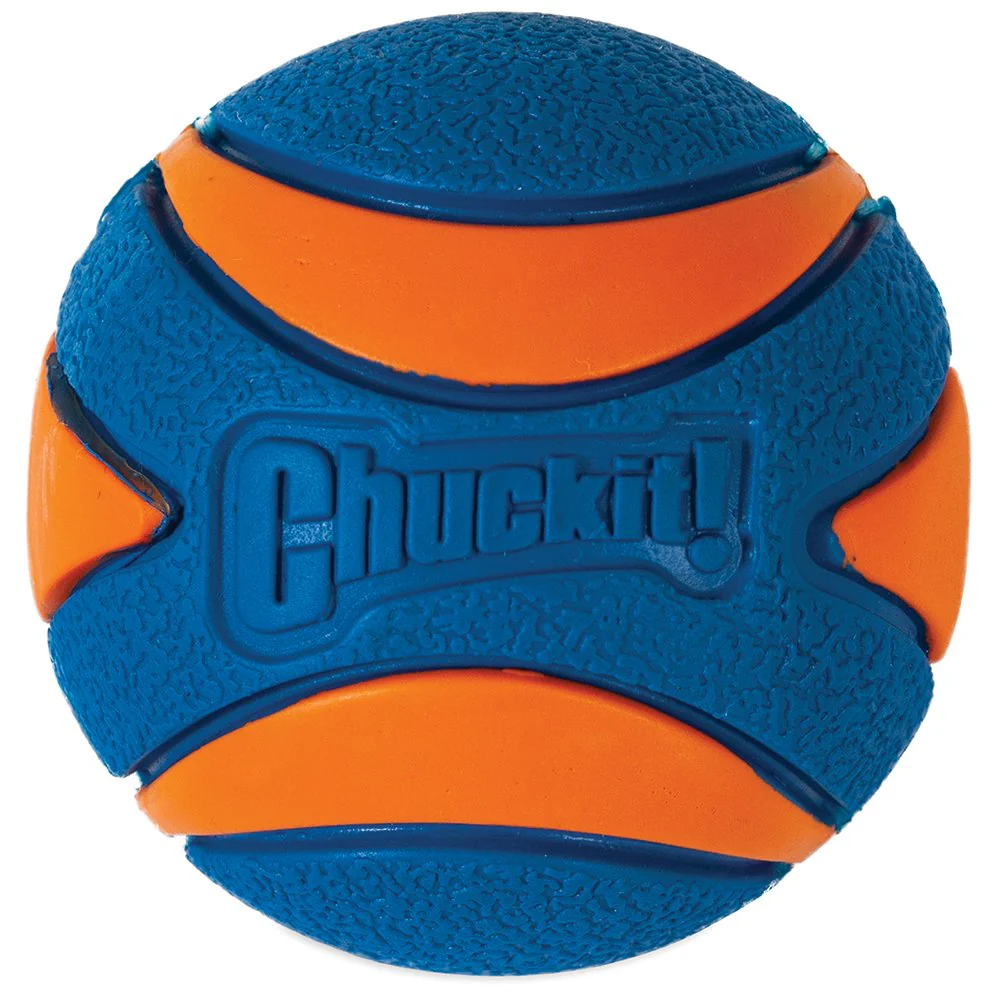 Chuckit Ultra Squeaker Ball Medium Dog Toy - Image 2