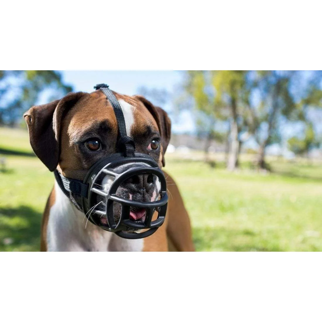 Company of Animals Baskerville Ultra Dog Muzzle Size 1 - Image 7