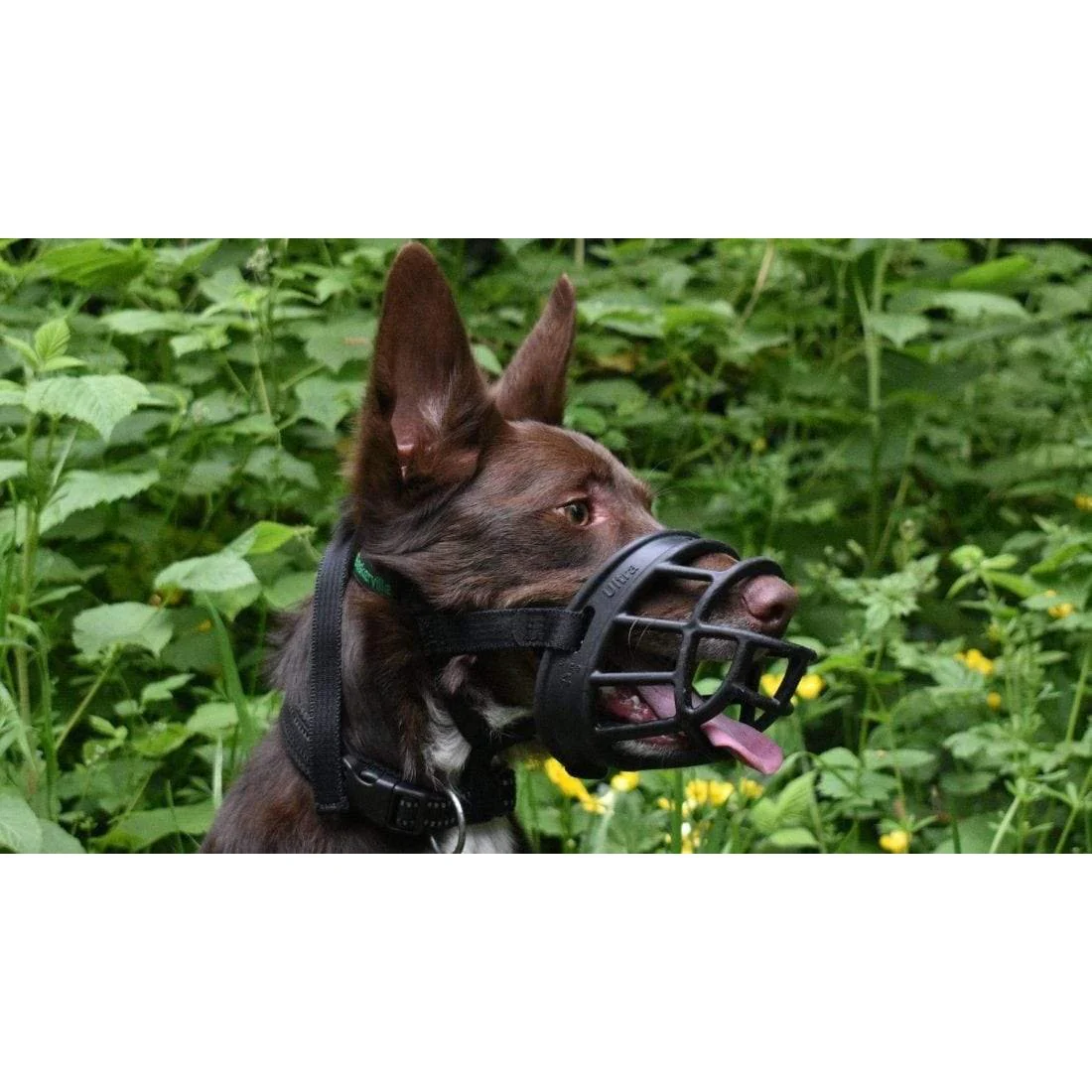 Company of Animals Baskerville Ultra Dog Muzzle Size 2 - Image 6