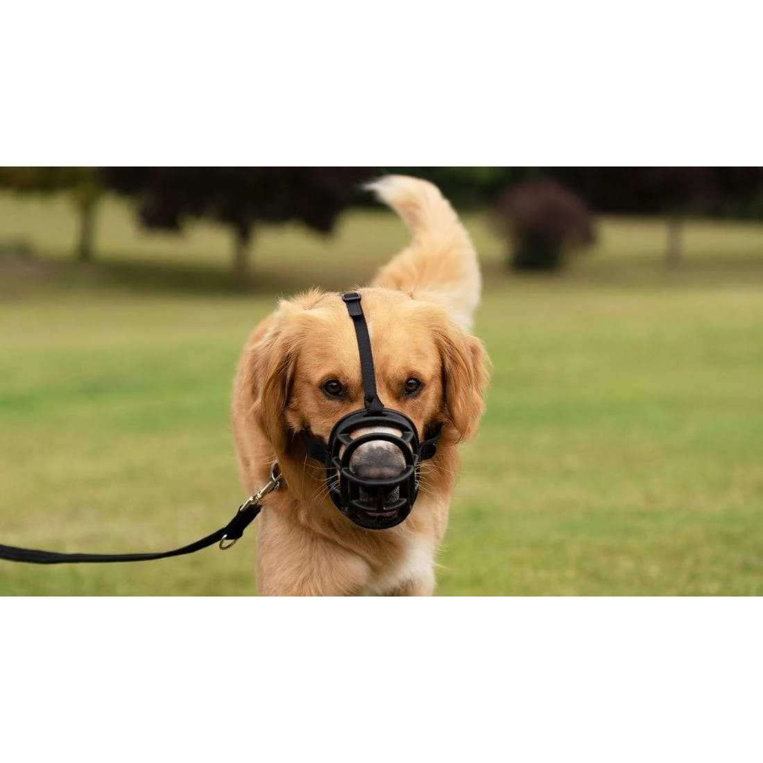 Company of Animals Baskerville Ultra Dog Muzzle Size 2 - Image 7