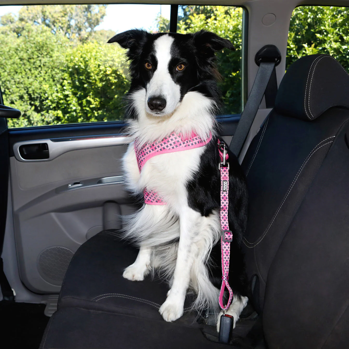 Doog Car Restraint Toto - Image 2