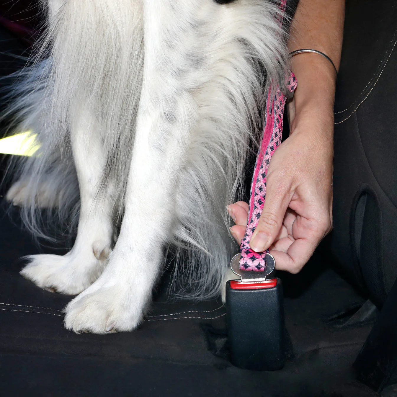 Doog Car Restraint Toto - Image 4