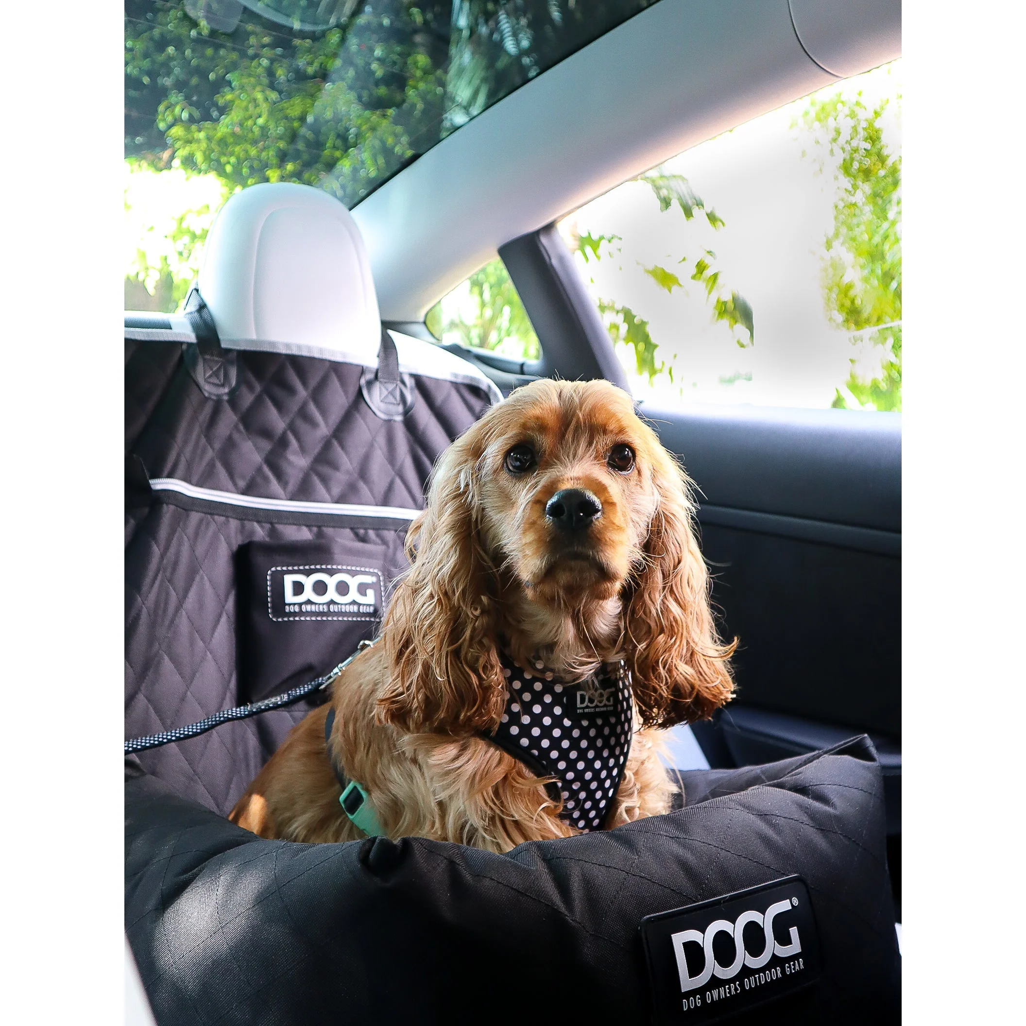 Doog Car Seat Black - Image 7