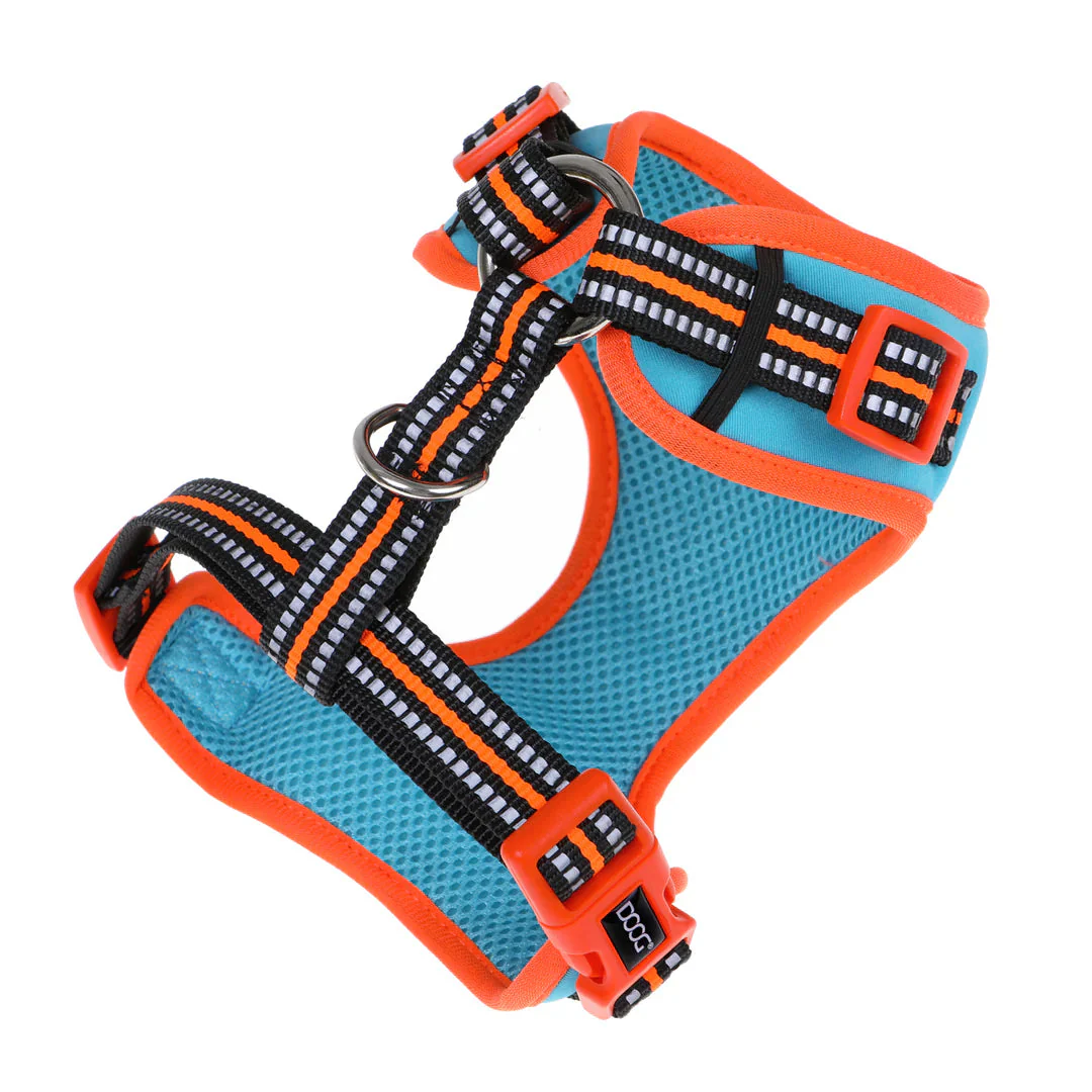 DOOG Neoflex Neoprene Beethoven Neon Blue and Orange Dog Harness Large - Image 3