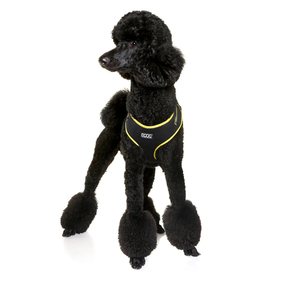 DOOG Neoflex Neoprene Bolt Neon Black and Yellow Dog Harness Small - Image 5