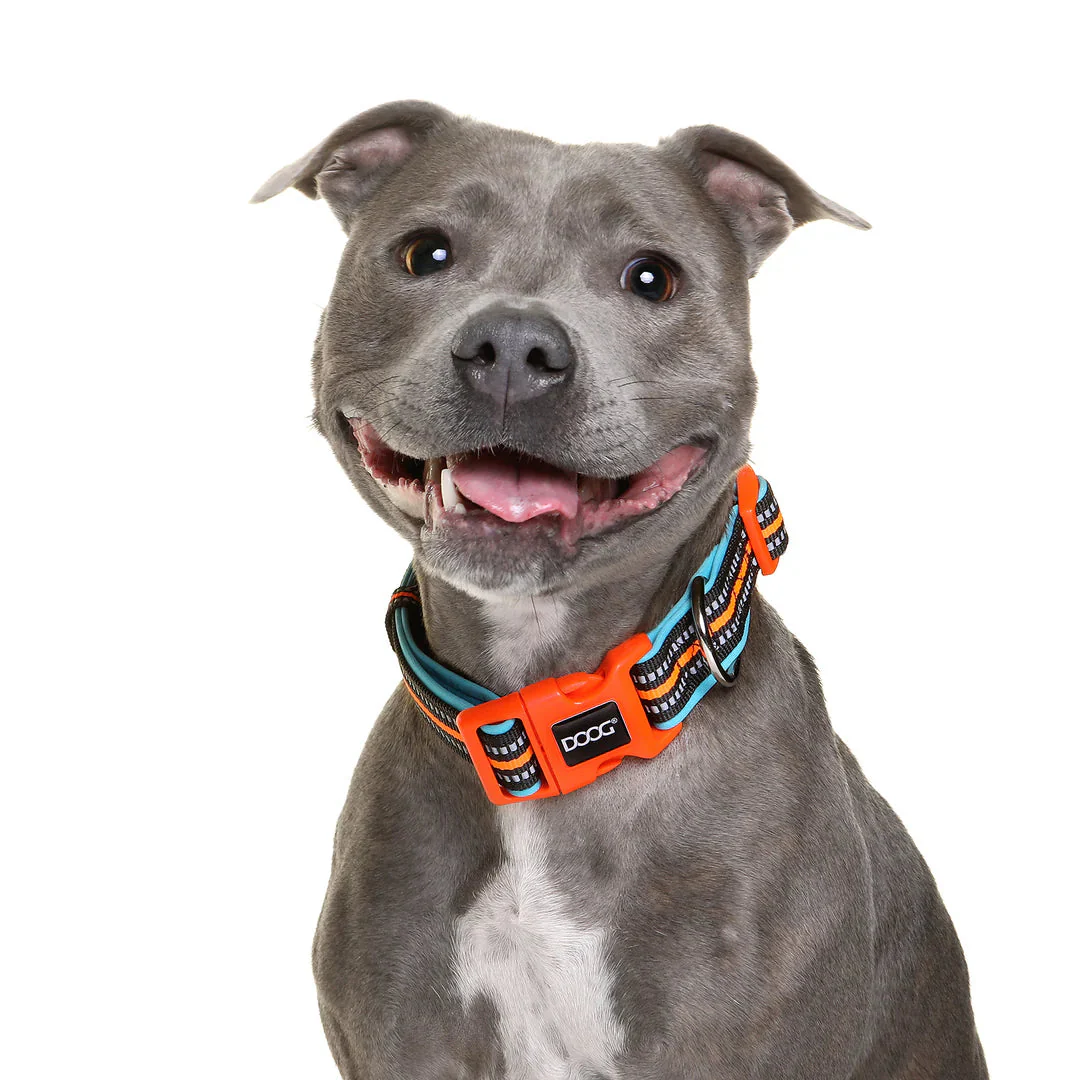 DOOG Neoprene Beethoven Neon Blue and Orange Dog Collar Small - Image 2