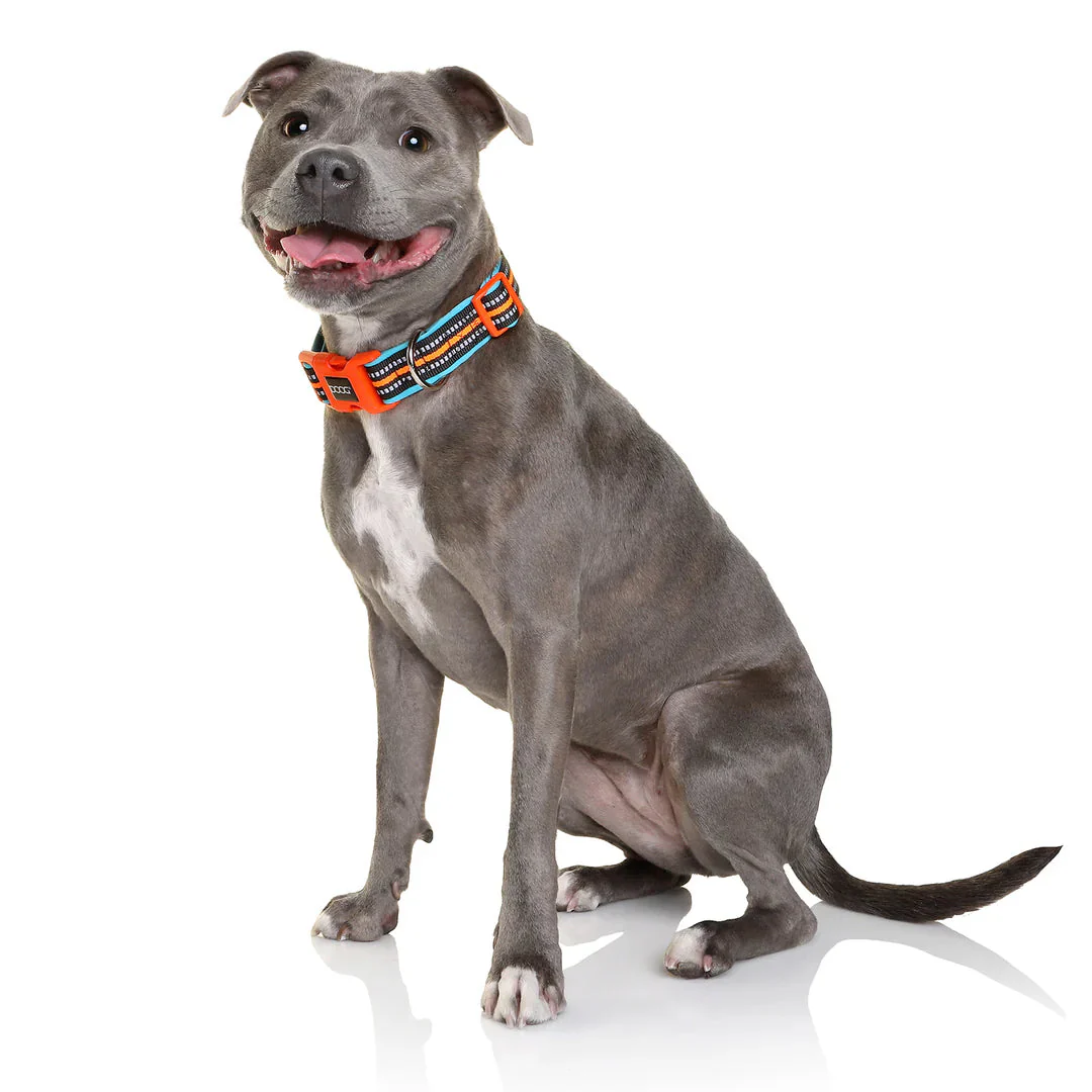 DOOG Neoprene Beethoven Neon Blue and Orange Dog Collar Small - Image 3