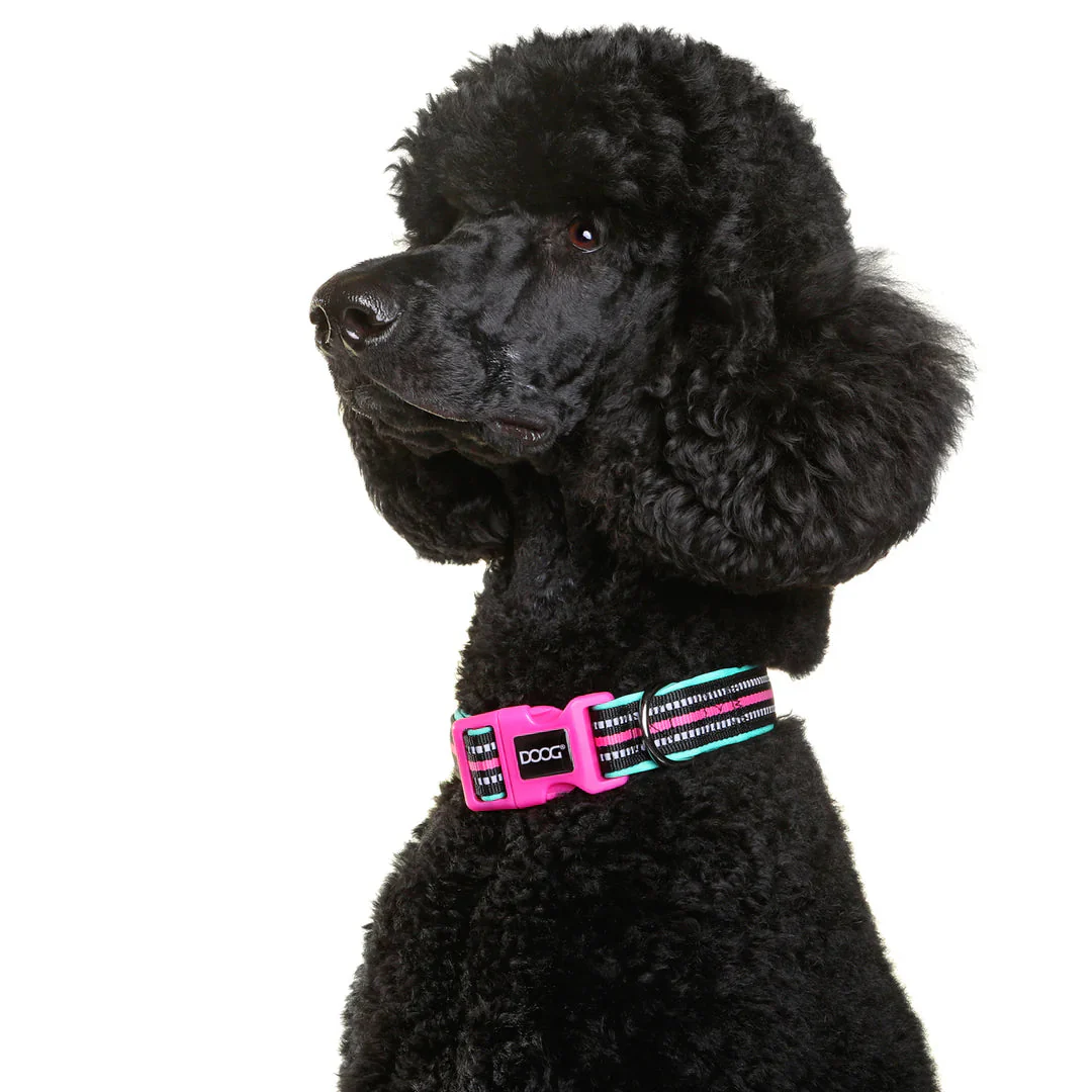 DOOG Neoprene Rin Tin Tin Neon Teal and Pink Dog Collar Extra Small - Image 2
