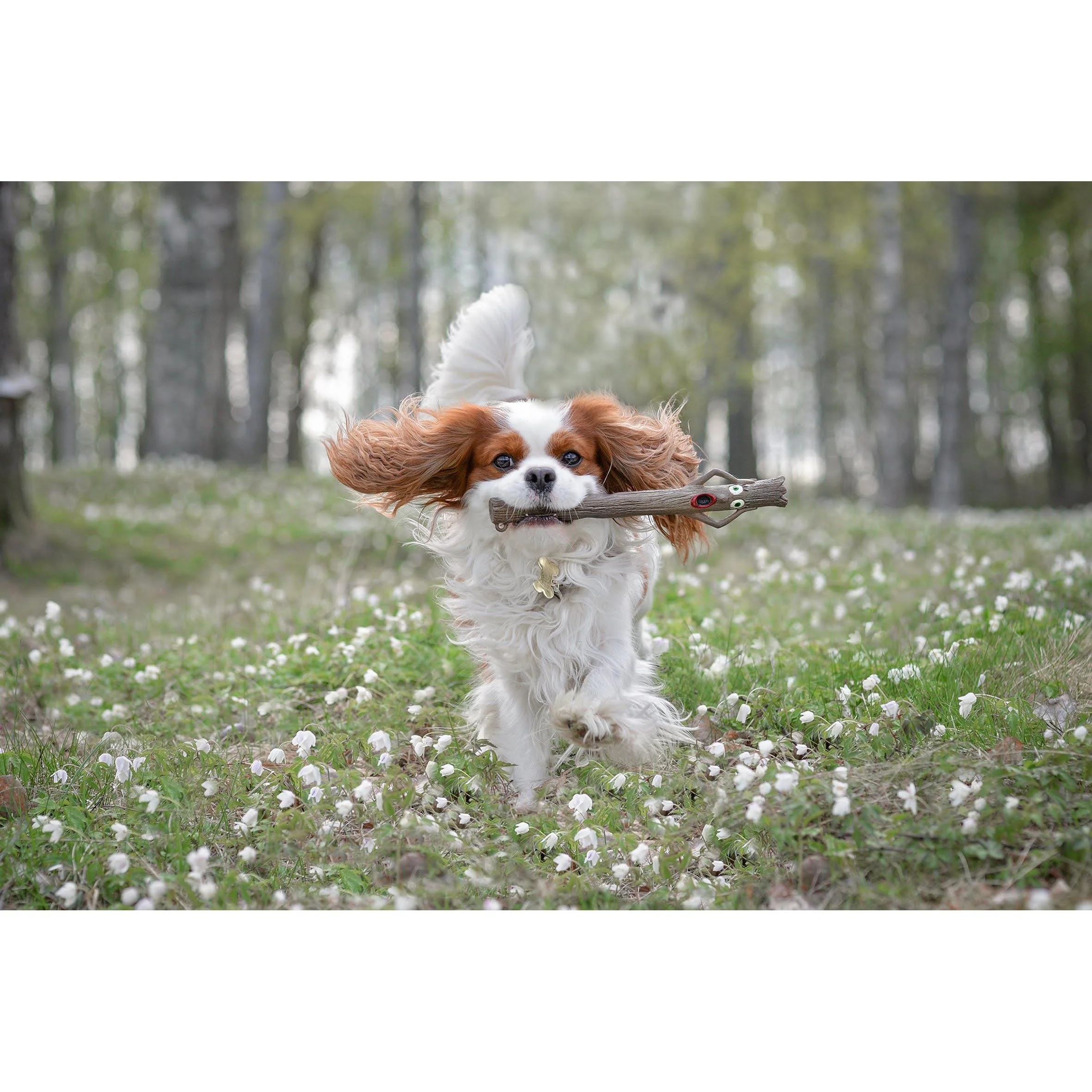 Doog Stick Dog Toy Twiggy - Image 3