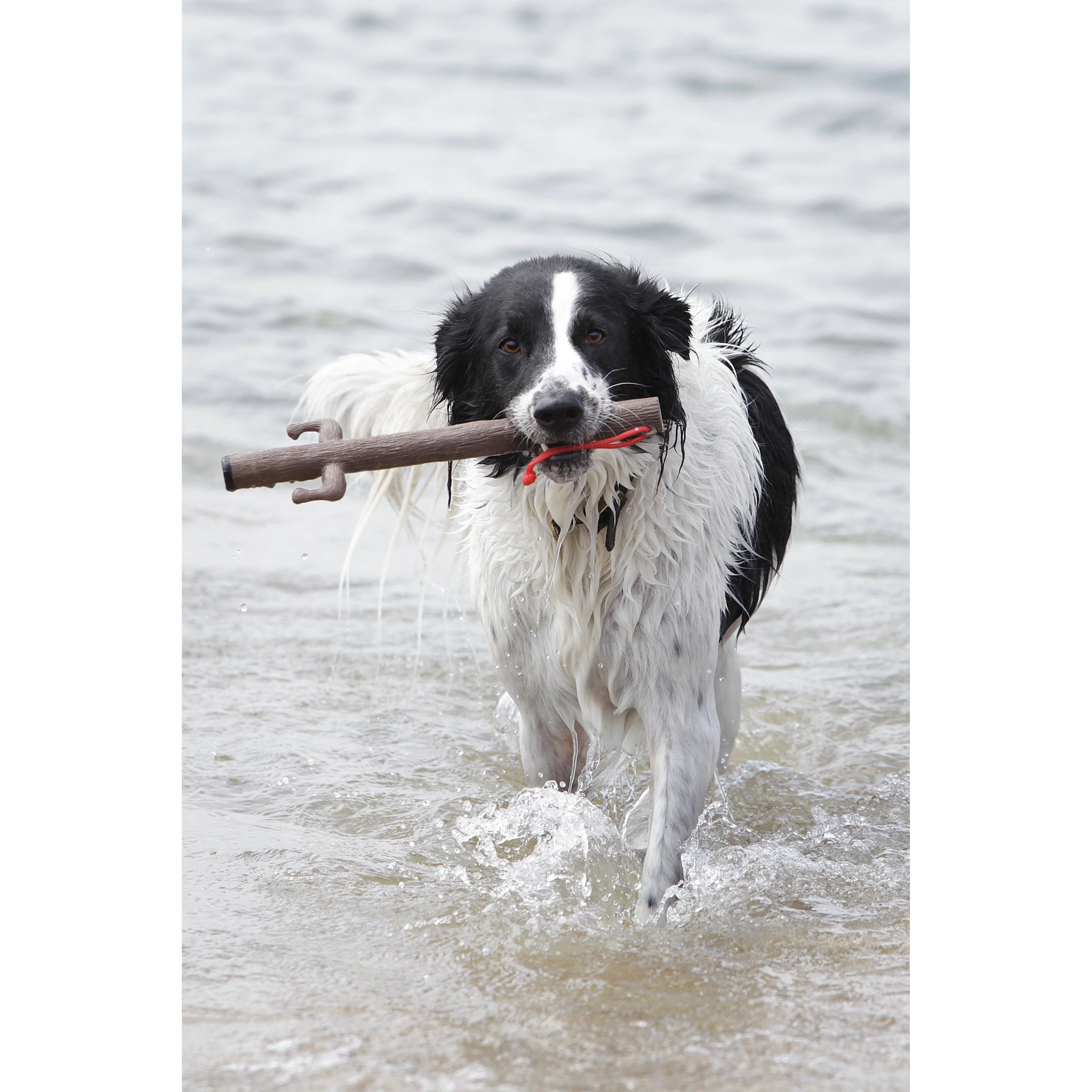 Doog Stick Dog Toy Willow - Image 3