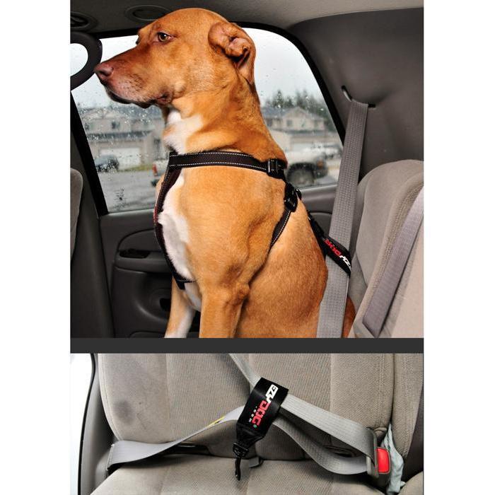 EzyDog Drive Dog Car Seat Attachment - Image 2