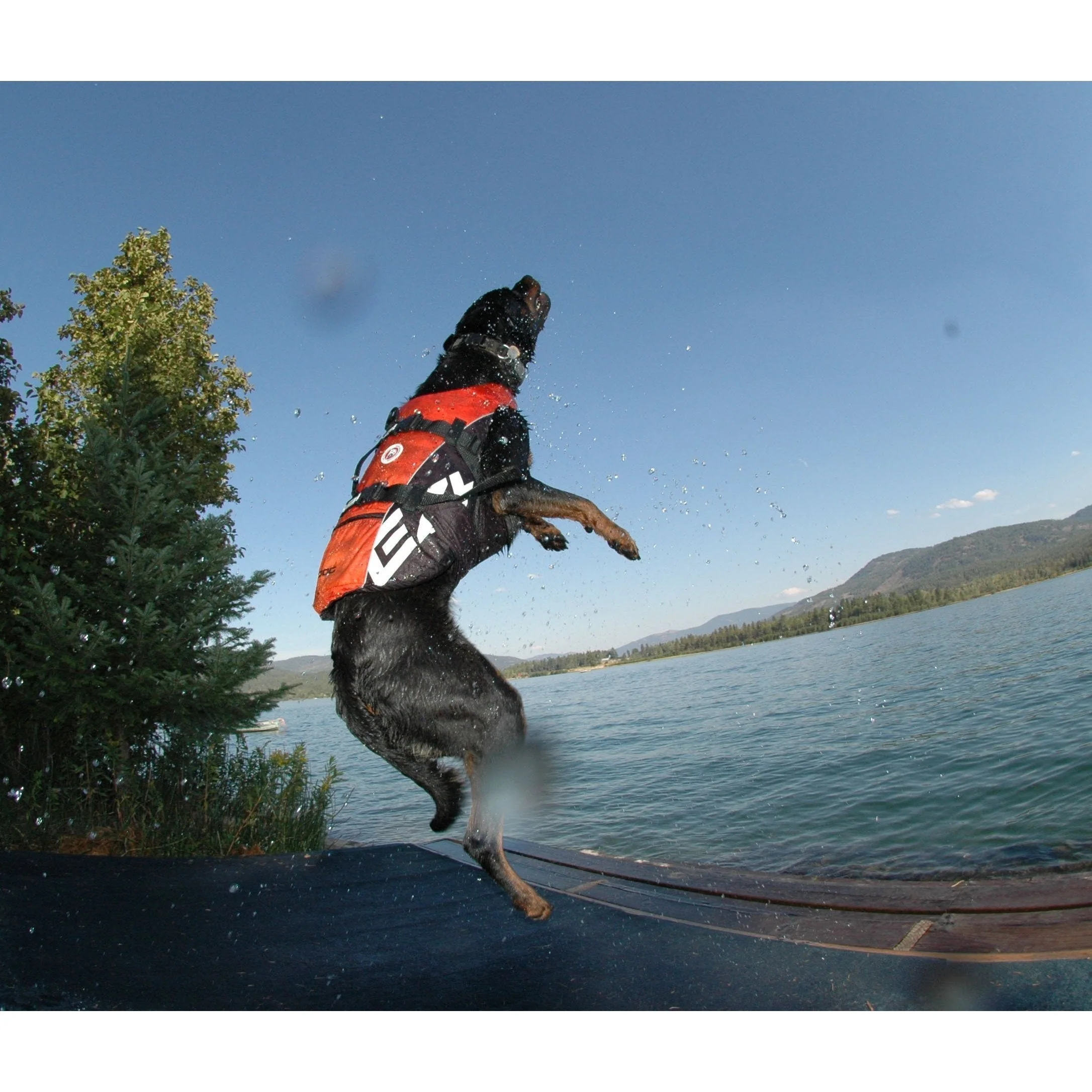 Ezydog DFD Dog Water Vest Small Red - Image 4