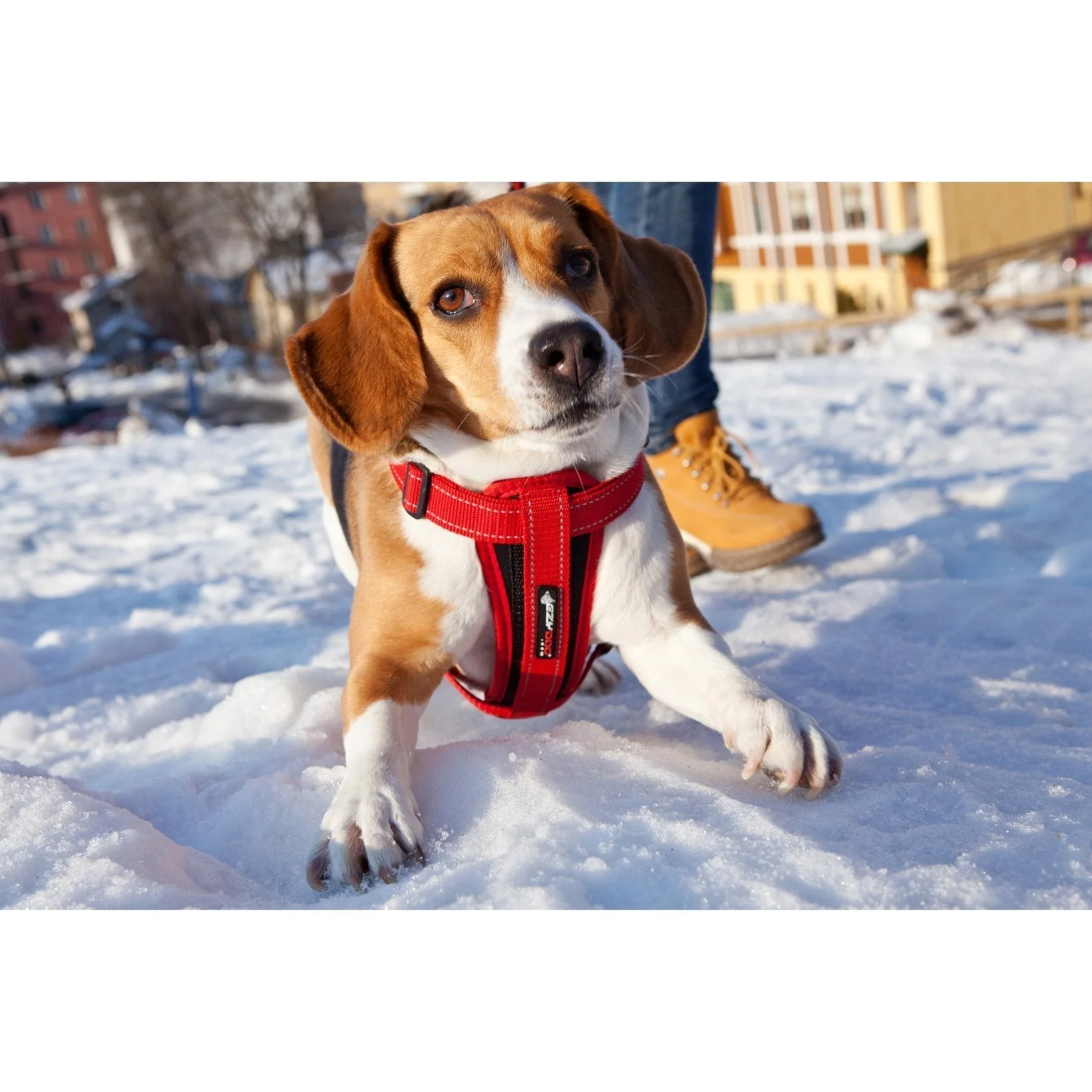 EzyDog Chestplate Dog Harness Red Large - Image 3