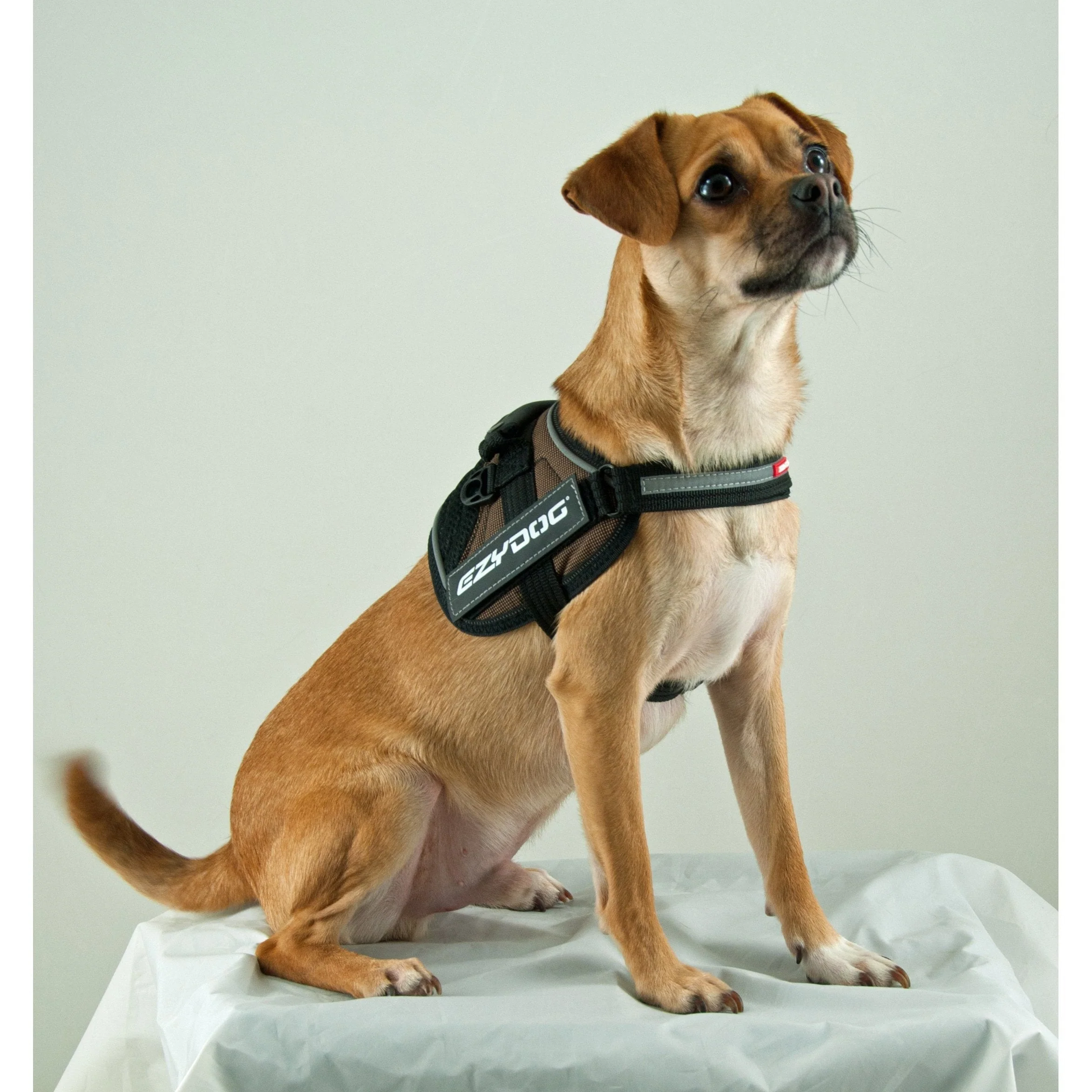 Ezydog Convert Dog Harness Charcoal Medium Large - Image 2