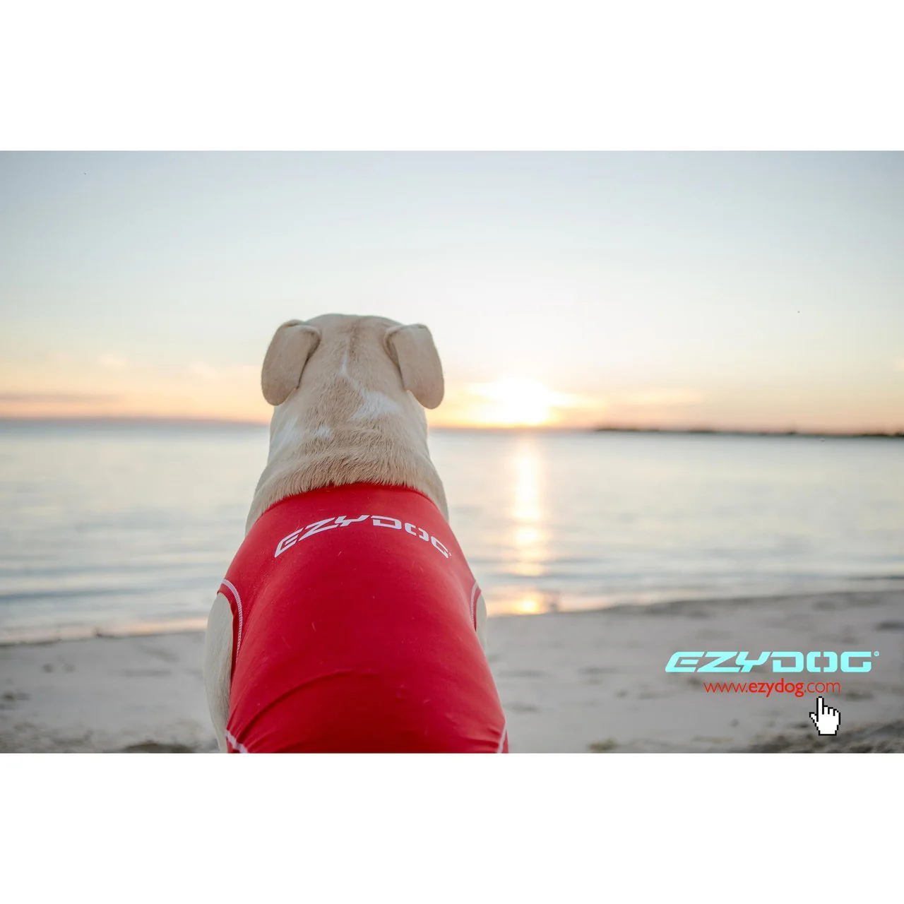 EzyDog Dog Rashie 50+ UV Extra Small - Image 3