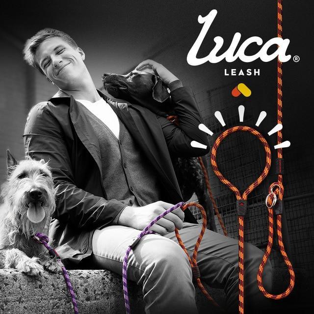 Ezydog Luca Dog Leash 6mm Lite Purple - Image 4