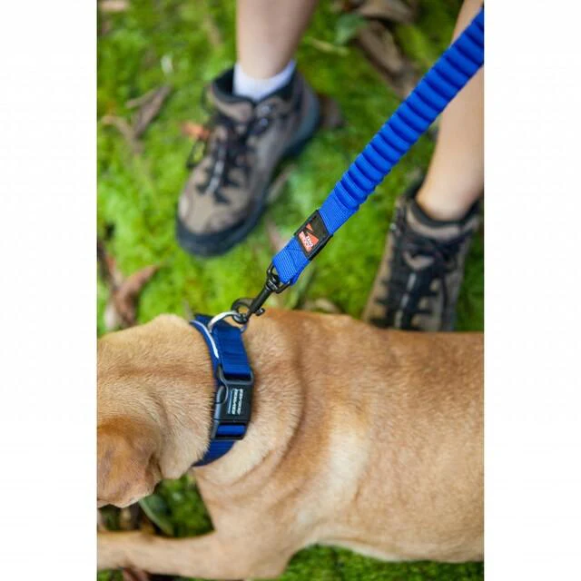 Ezydog Zero Shock Dog Leash 48 Blue - Image 4
