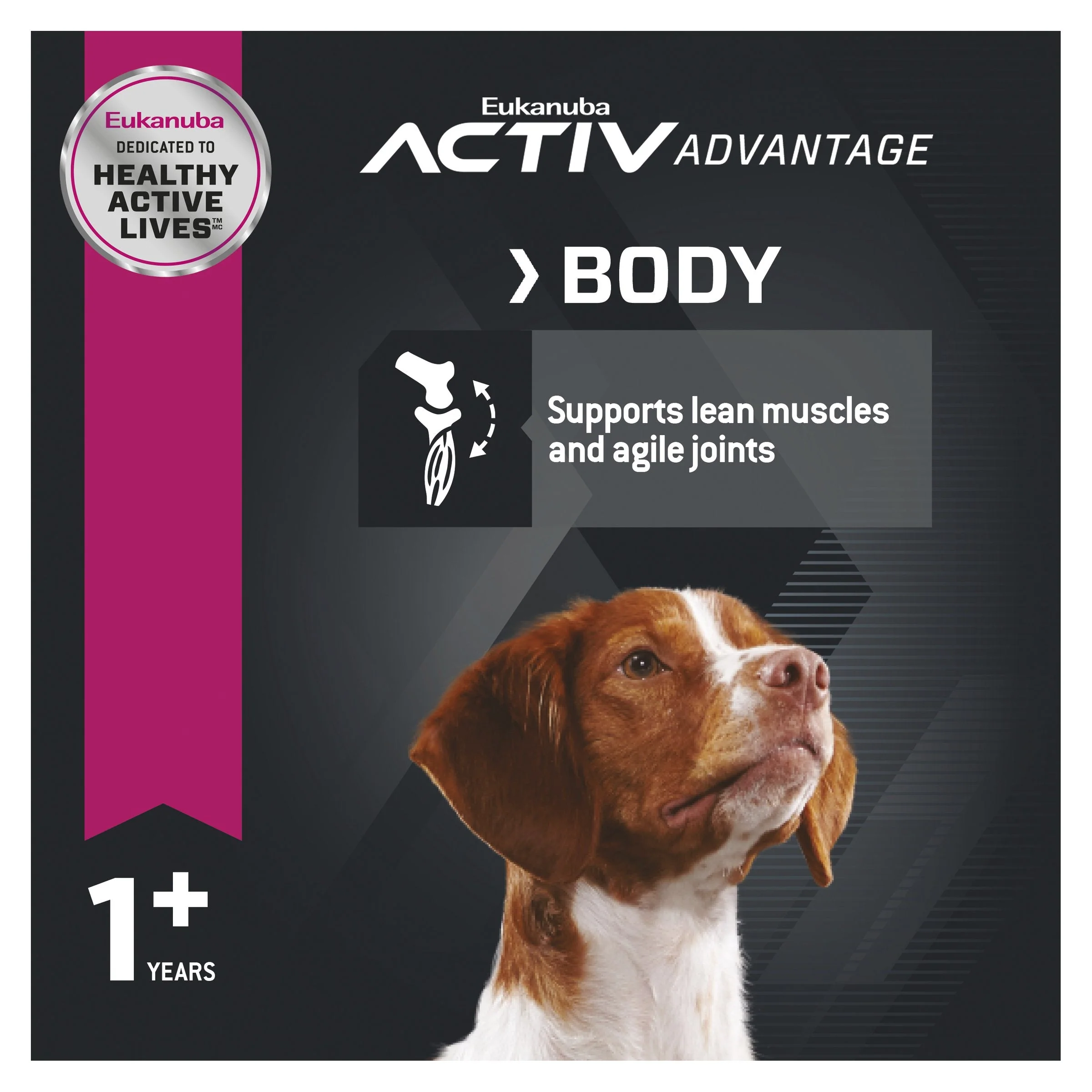 Eukanuba Dog Adult Medium Breed Dry Food 15kg - Image 7