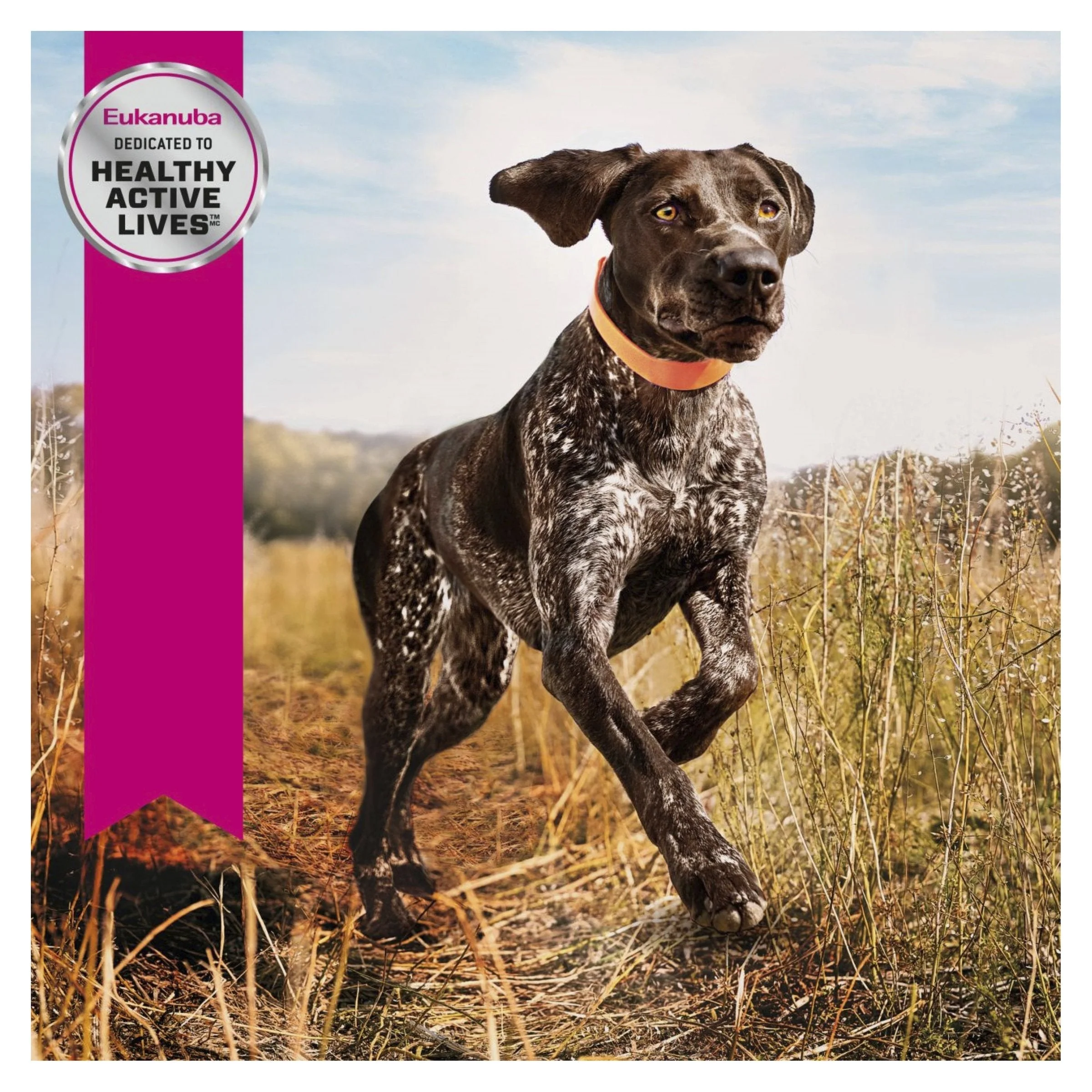Eukanuba Dog Adult Sport 30/20 Dry Food 15kg - Image 5