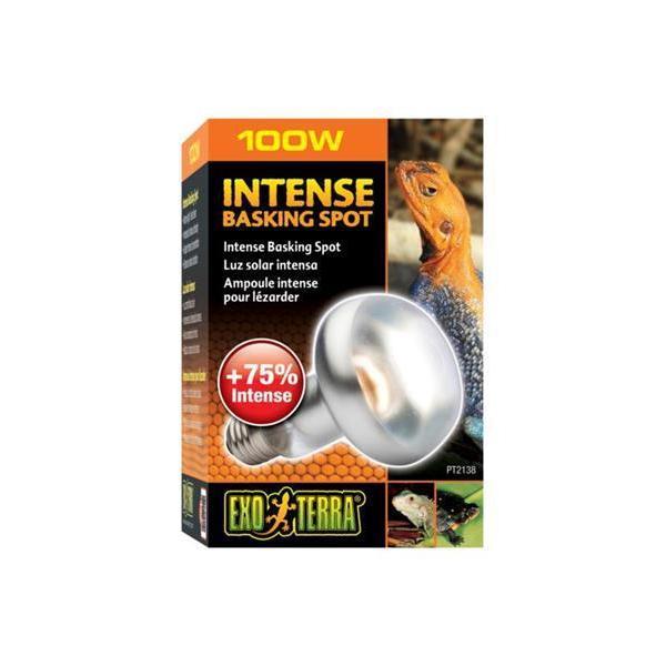 Exo Terra Repti Basking Spot Lamp 100w - Image 2