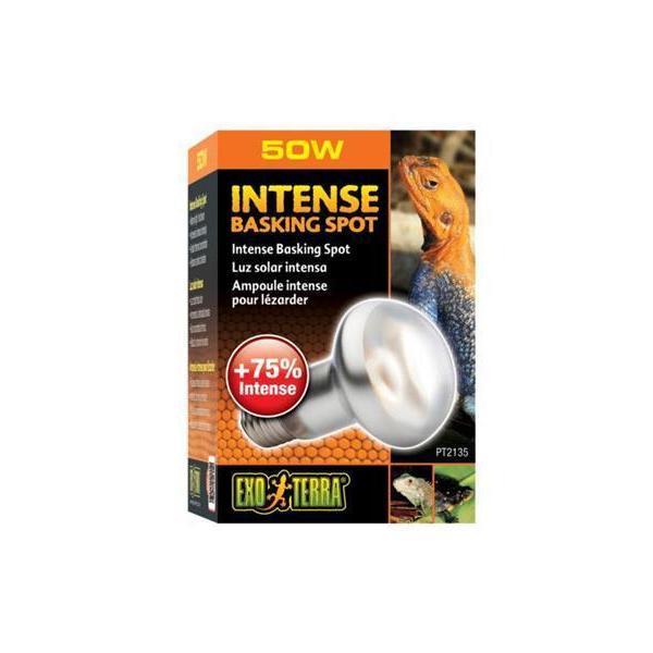 Exo Terra Repti Basking Spot Lamp 50w - Image 2