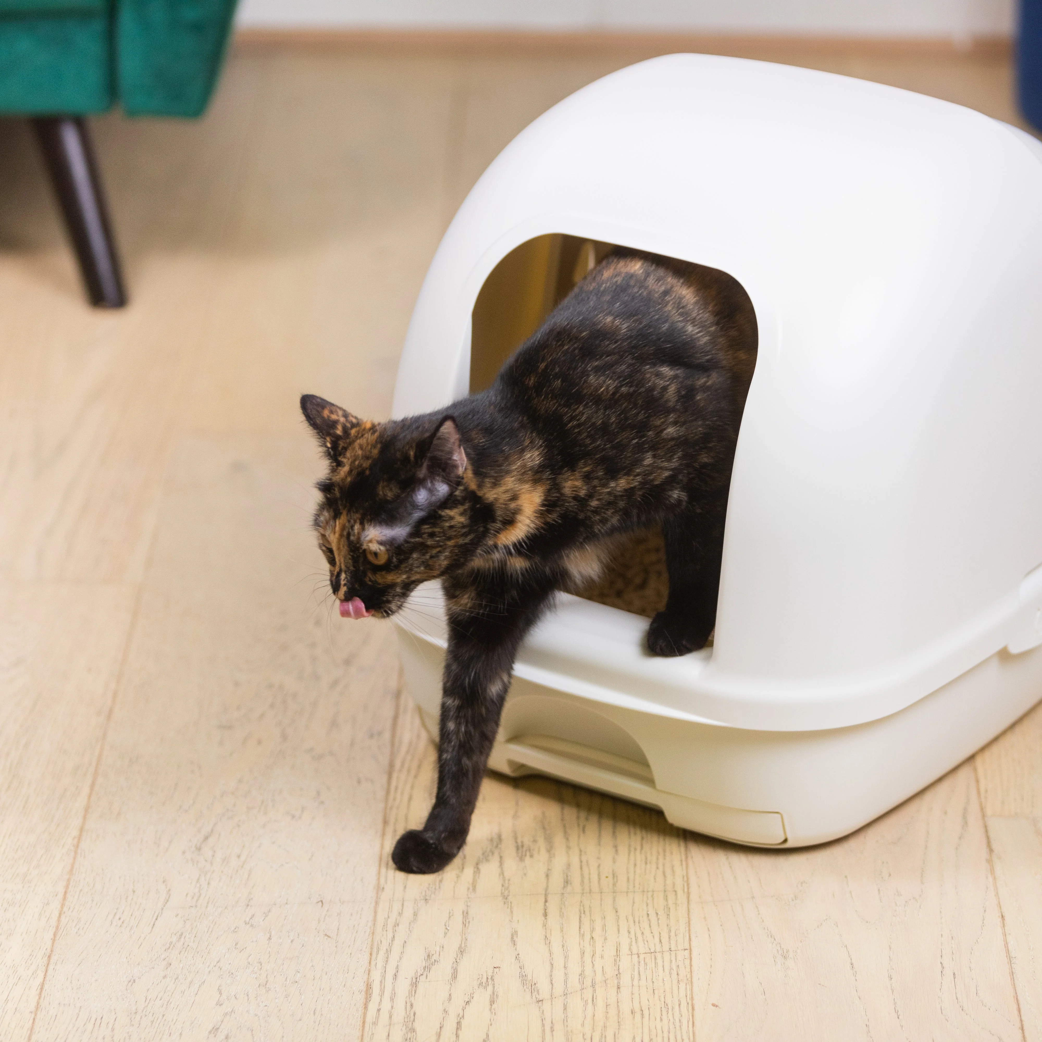 Ezi-LockOdour Dual Layer Cat Litter System Hooded Cat Litter Tray - Image 5