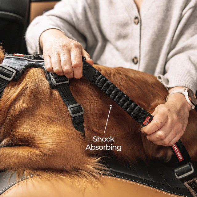 EzyDog Click Zero Shock Car Restraint for Dogs - Image 2
